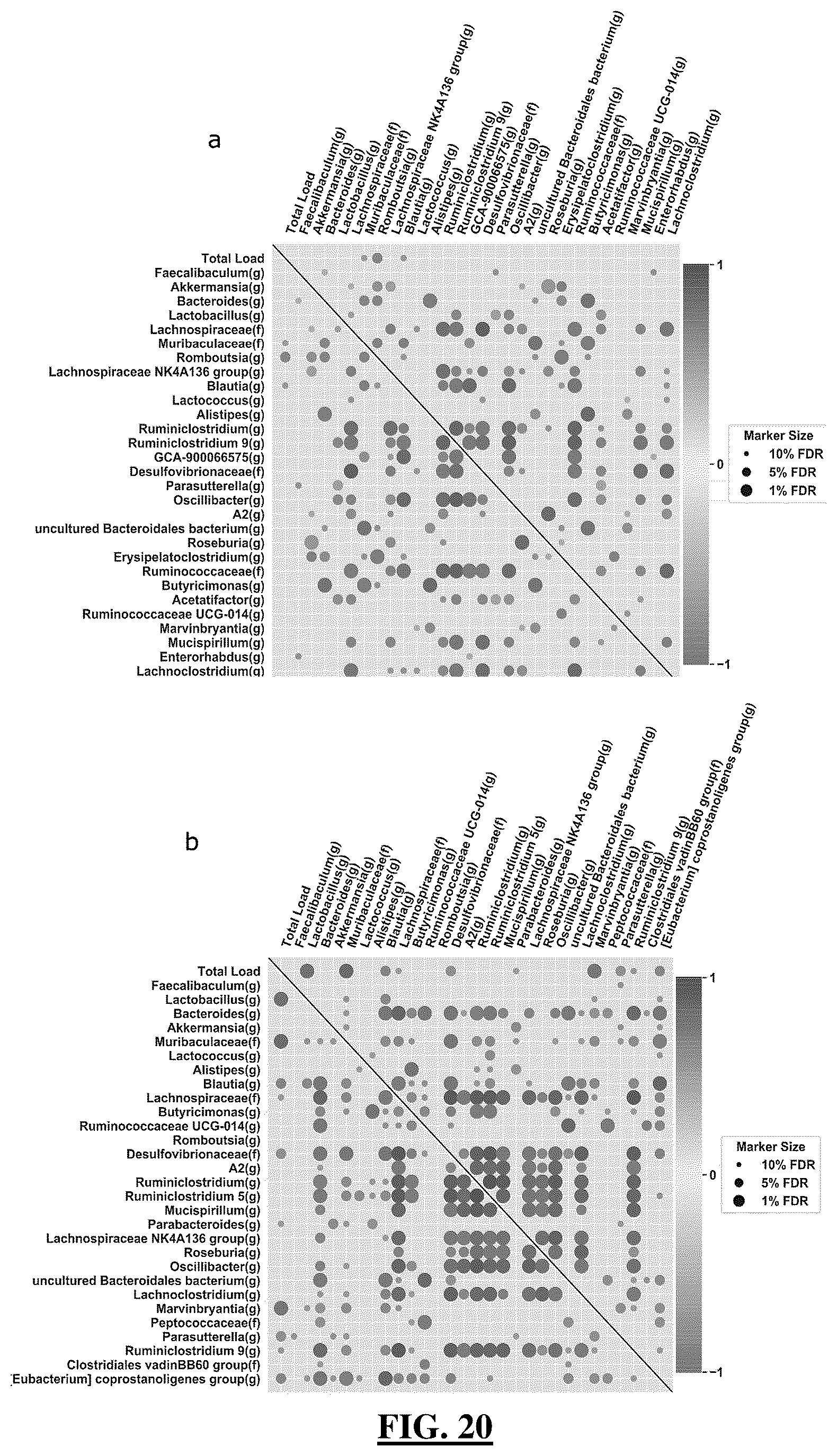 Patent US12173361 Figure 20 – Rodent model and related device, compositions, methods and systems