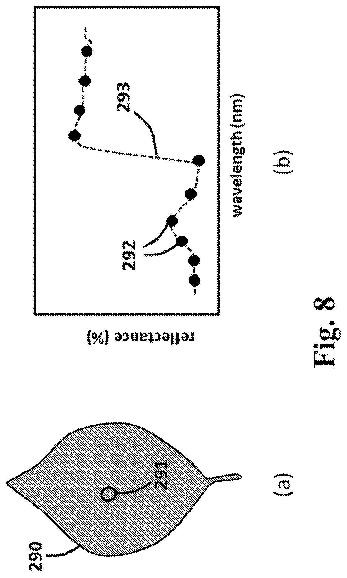 Patent US12174111 Figure 8 – Spectral imaging and analysis for remote and noninvasive detection of plant responses to herbicide treatments