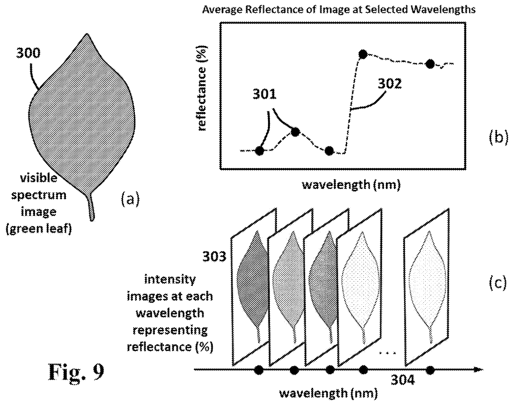 Patent US12174111 Figure 9 – Spectral imaging and analysis for remote and noninvasive detection of plant responses to herbicide treatments