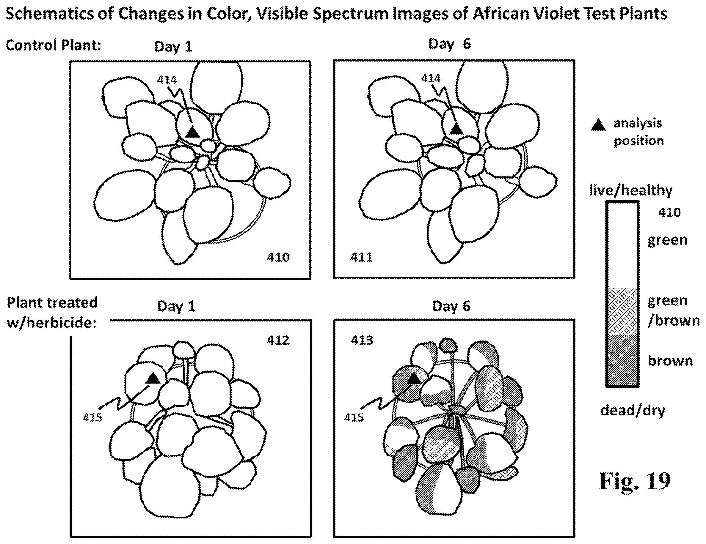 Patent US12174111 Figure 19 – Spectral imaging and analysis for remote and noninvasive detection of plant responses to herbicide treatments