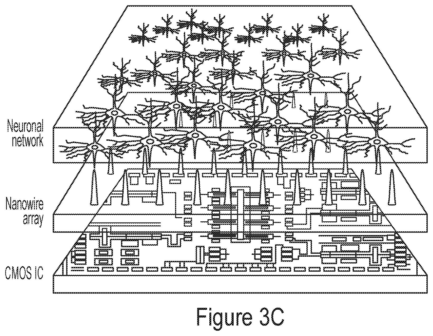 Patent US12174140 Figure 7 – Electronic circuits for analyzing electrogenic cells and related methods