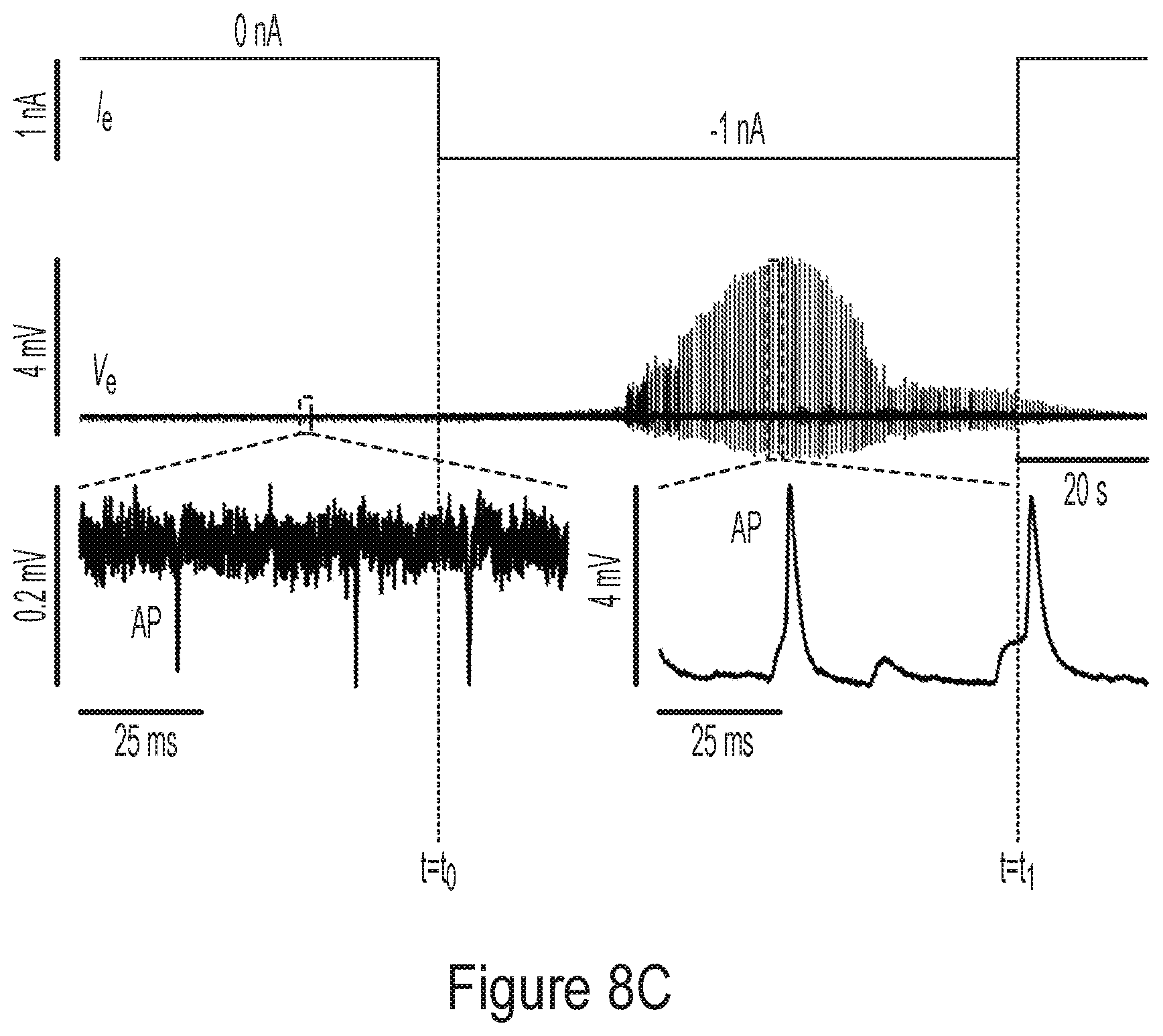 Patent US12174140 Figure 14 – Electronic circuits for analyzing electrogenic cells and related methods