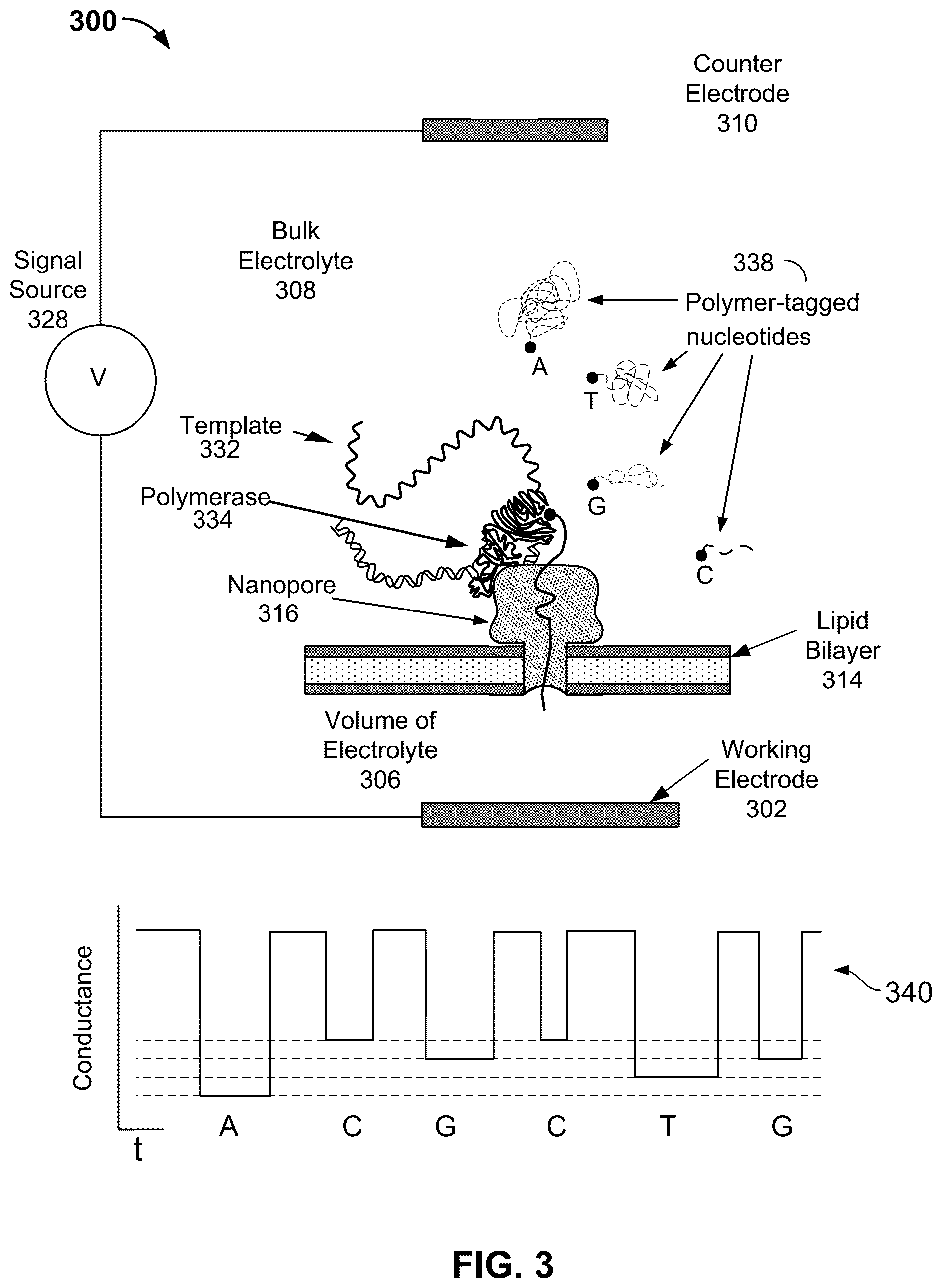 Patent US12174141 Figure 3 – Phased nanopore array