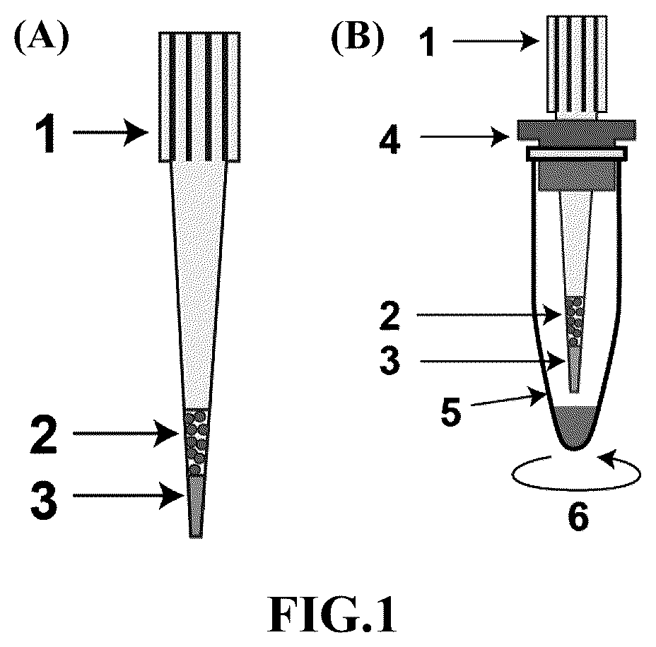 Patent US12174157 — Proteomics reactor, protein chromatographic separation platform and use thereof — Figure 1