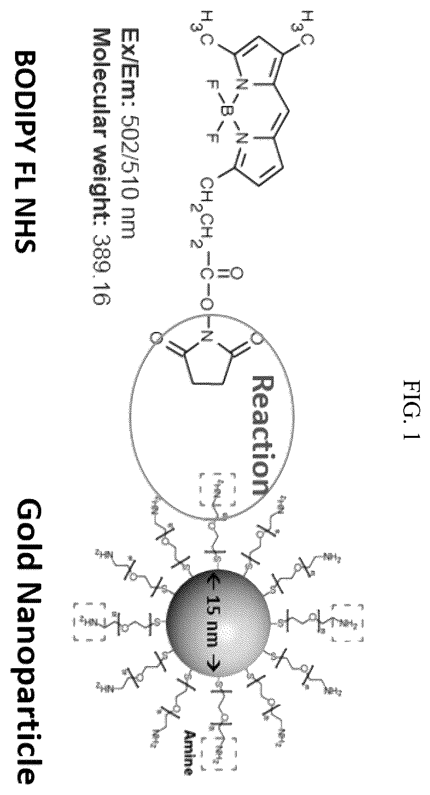 Patent US12174161 — Methods of measuring hydrophobicity of chromatographic resins — Figure 1