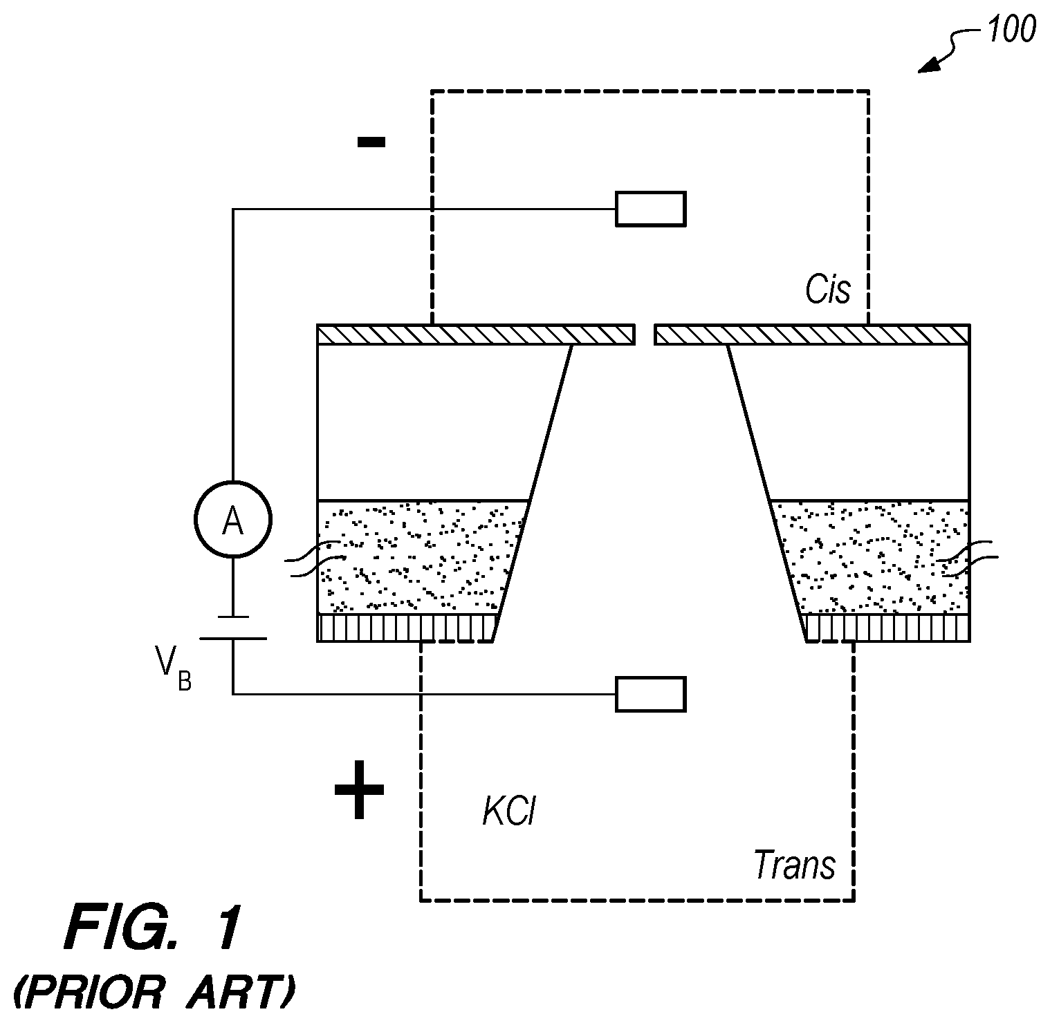 Patent US12174171 Figure 1 – Nanopore device and methods of electrical array addressing and sensing