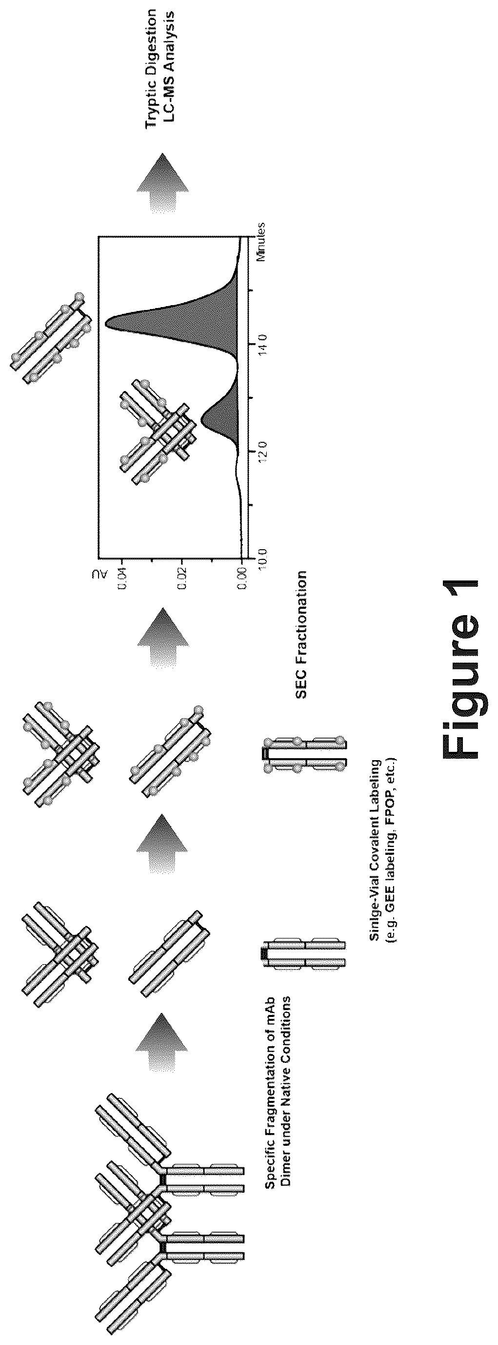Patent US12174173 Figure 1 – System and method for characterizing protein dimerization