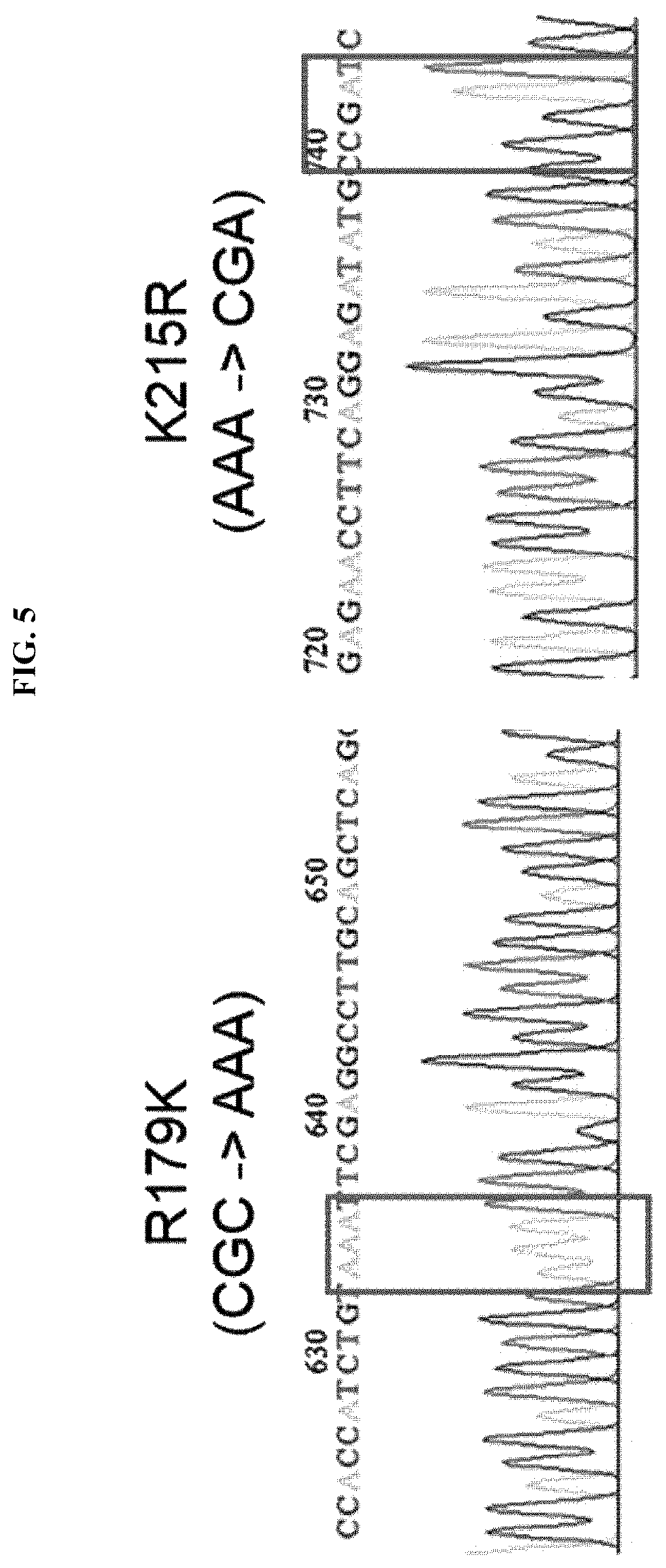 Patent US12174174 Figure 5 – Composition comprising material for regulating OCT4 modification to repress stemness