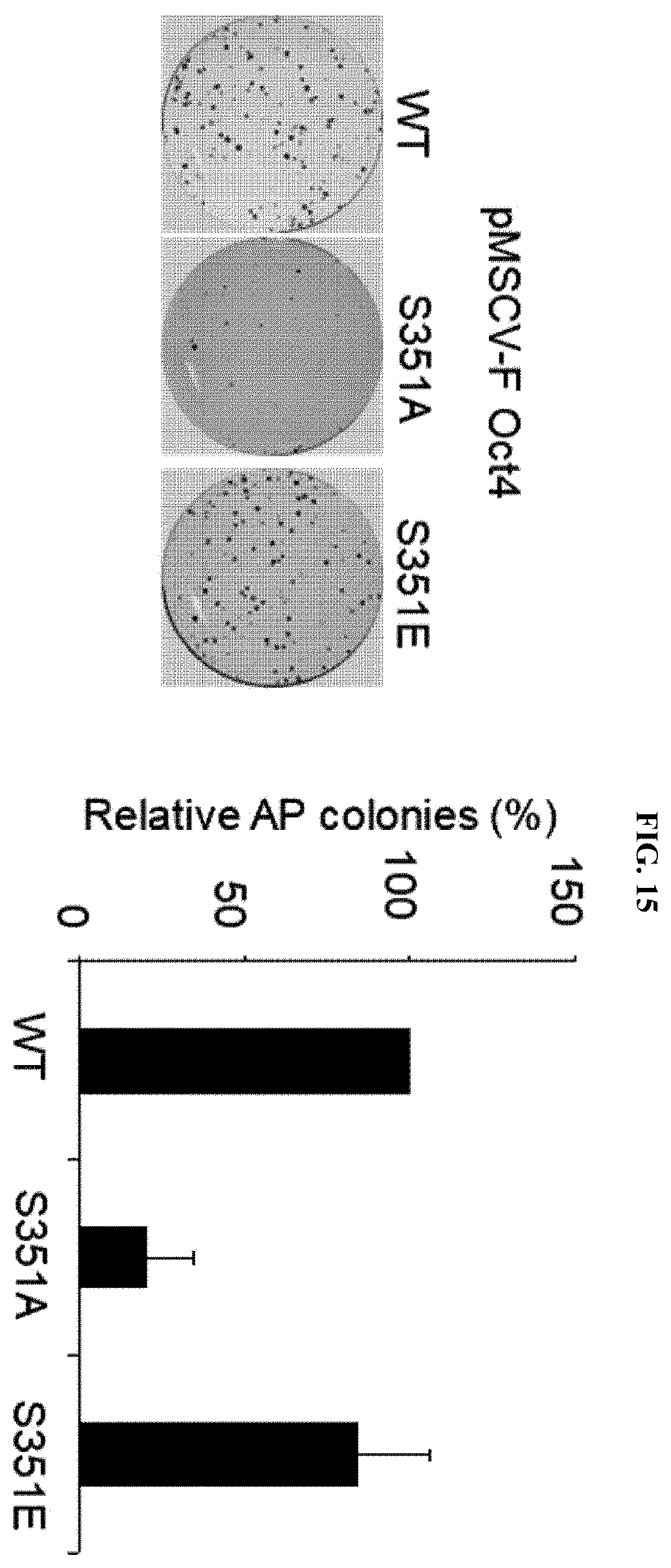 Patent US12174174 Figure 15 – Composition comprising material for regulating OCT4 modification to repress stemness