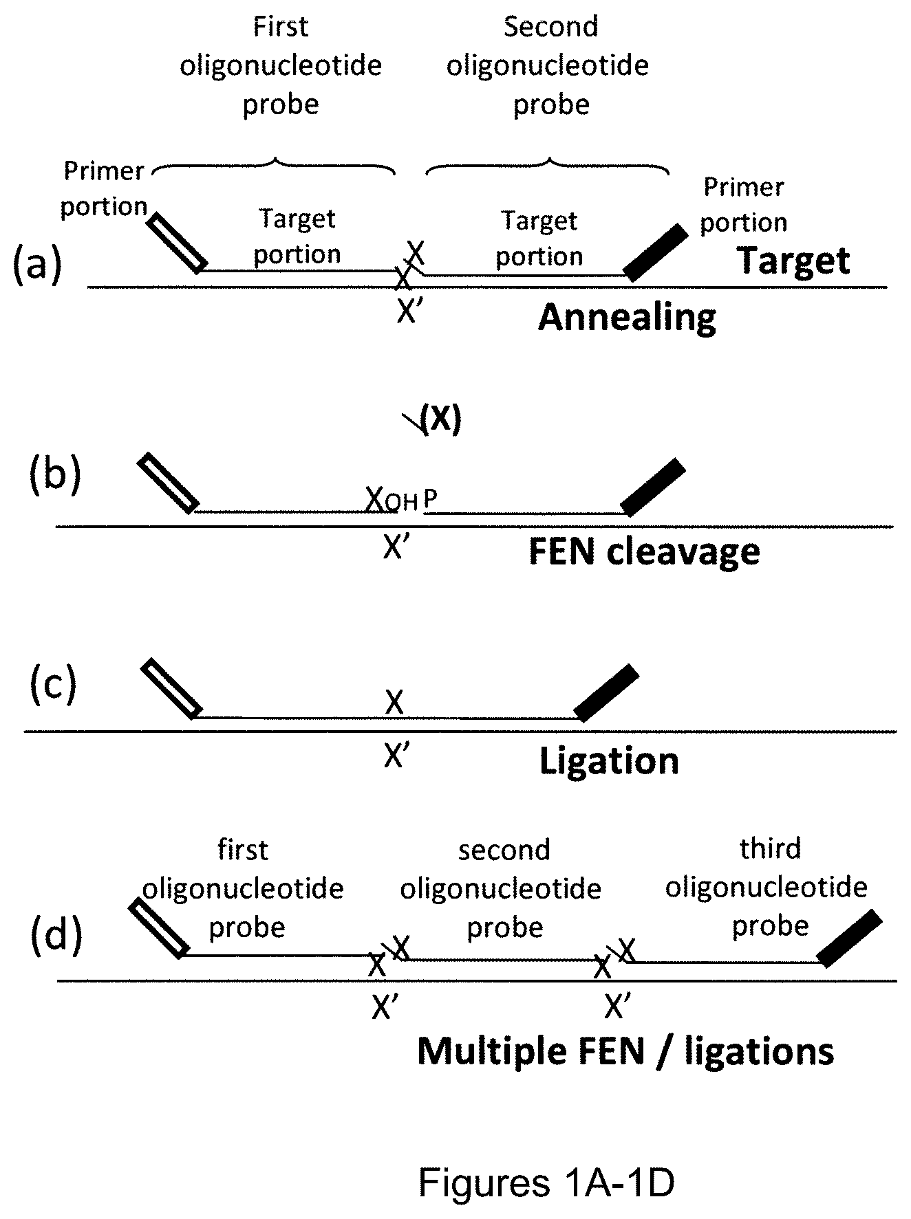 Patent US12174176 Figure 1 – Method for relative quantification of nucleic acid sequence, expression, or copy changes, using combined nuclease, ligation, and polymerase reactions
