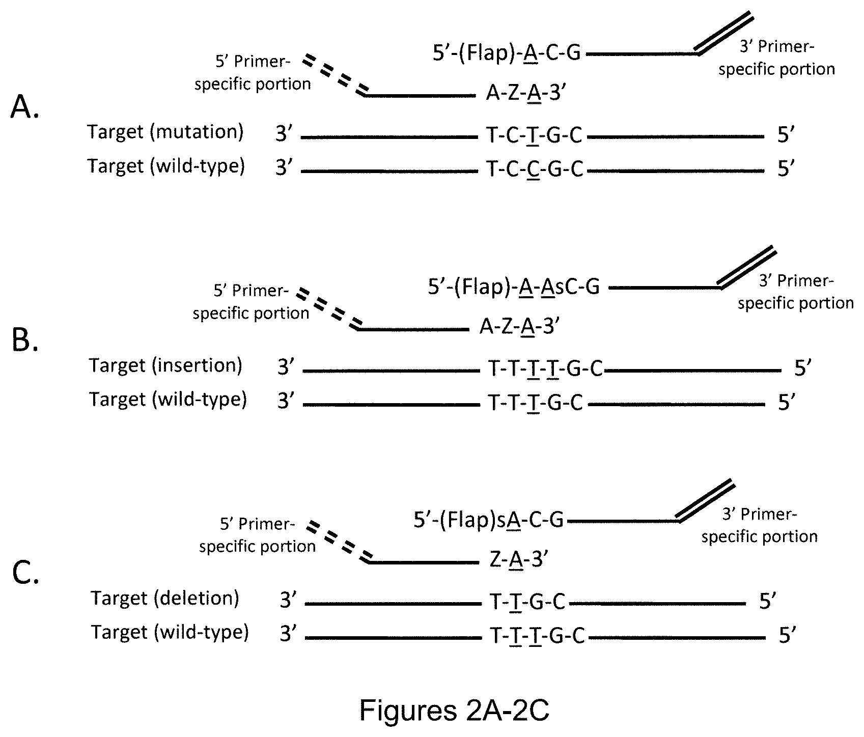 Patent US12174176 Figure 2 – Method for relative quantification of nucleic acid sequence, expression, or copy changes, using combined nuclease, ligation, and polymerase reactions