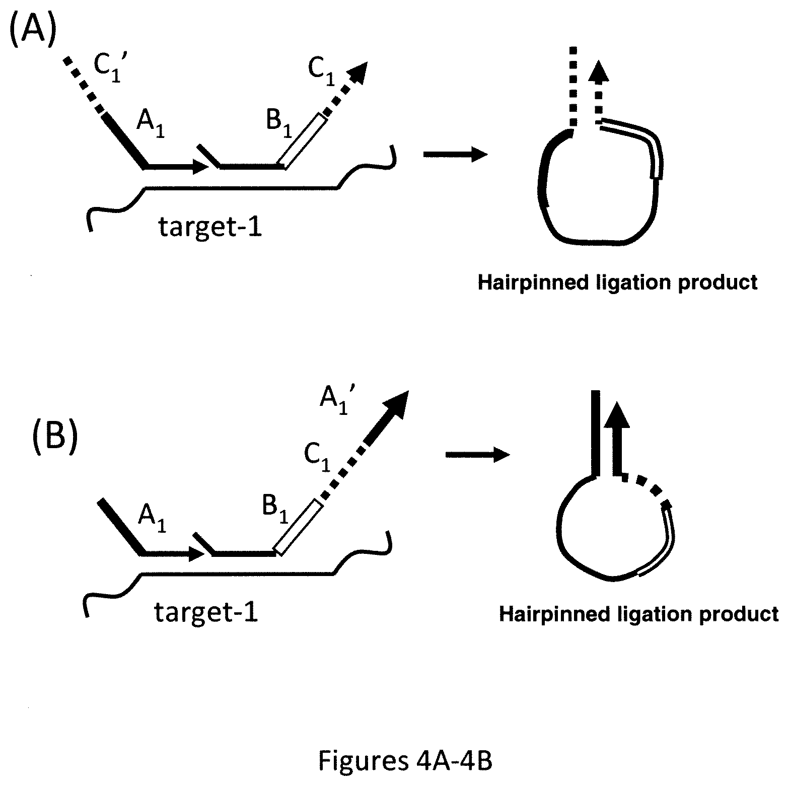 Patent US12174176 Figure 4 – Method for relative quantification of nucleic acid sequence, expression, or copy changes, using combined nuclease, ligation, and polymerase reactions