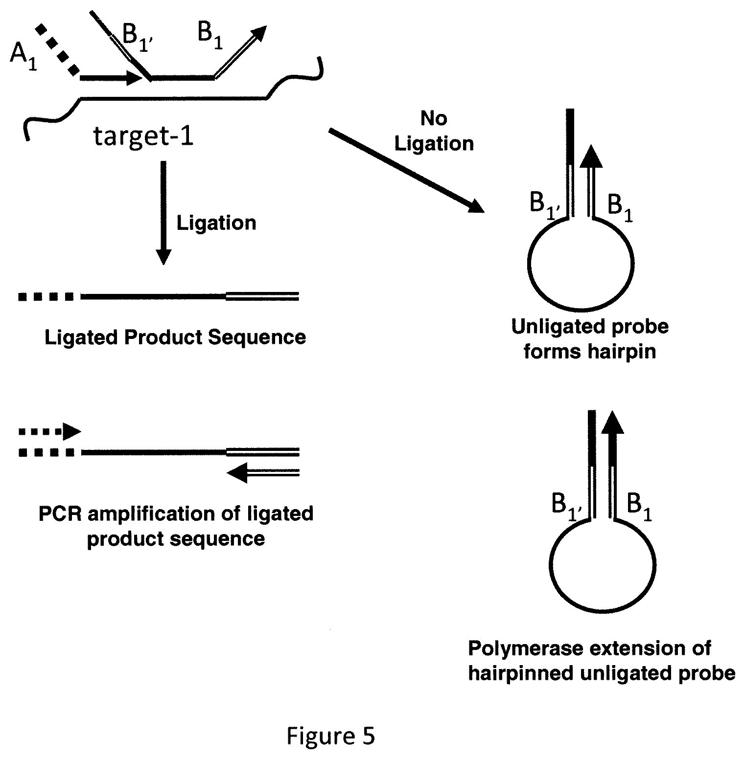 Patent US12174176 Figure 6 – Method for relative quantification of nucleic acid sequence, expression, or copy changes, using combined nuclease, ligation, and polymerase reactions