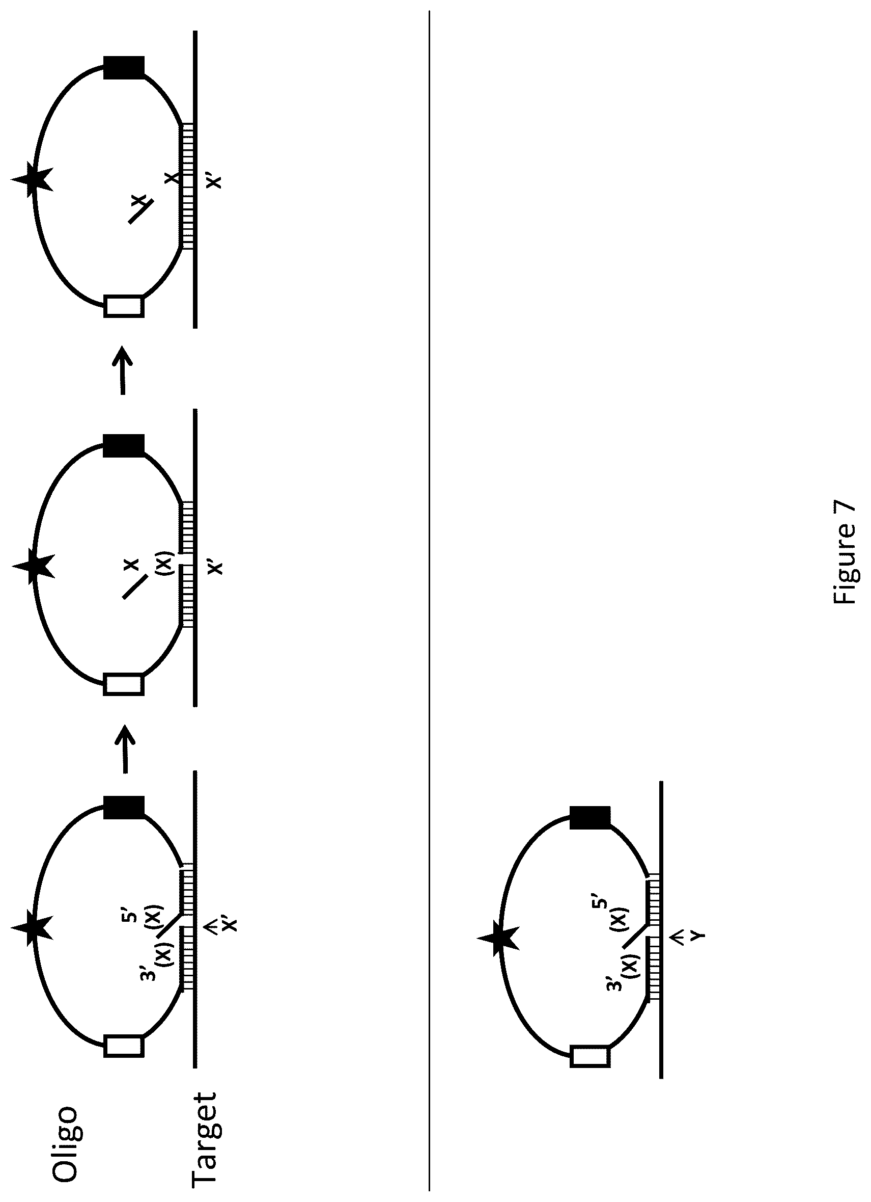 Patent US12174176 Figure 8 – Method for relative quantification of nucleic acid sequence, expression, or copy changes, using combined nuclease, ligation, and polymerase reactions