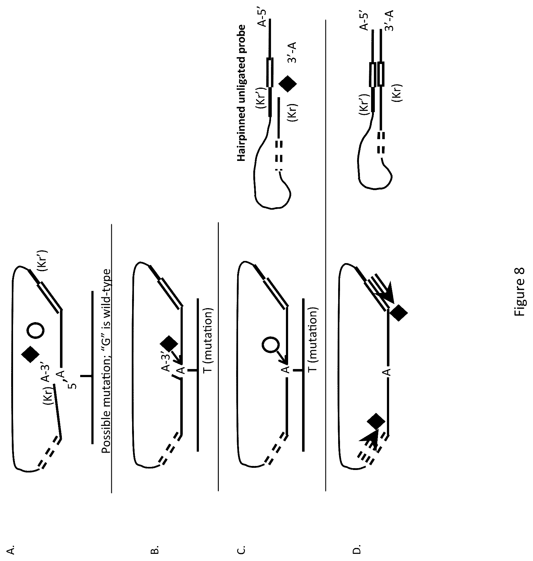 Patent US12174176 Figure 9 – Method for relative quantification of nucleic acid sequence, expression, or copy changes, using combined nuclease, ligation, and polymerase reactions