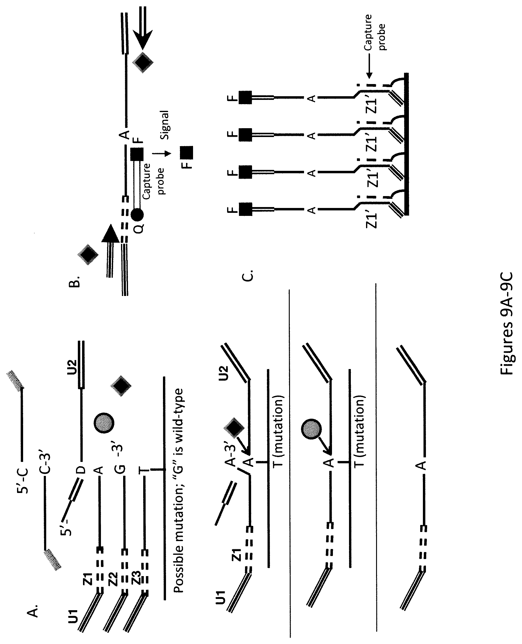 Patent US12174176 Figure 10 – Method for relative quantification of nucleic acid sequence, expression, or copy changes, using combined nuclease, ligation, and polymerase reactions