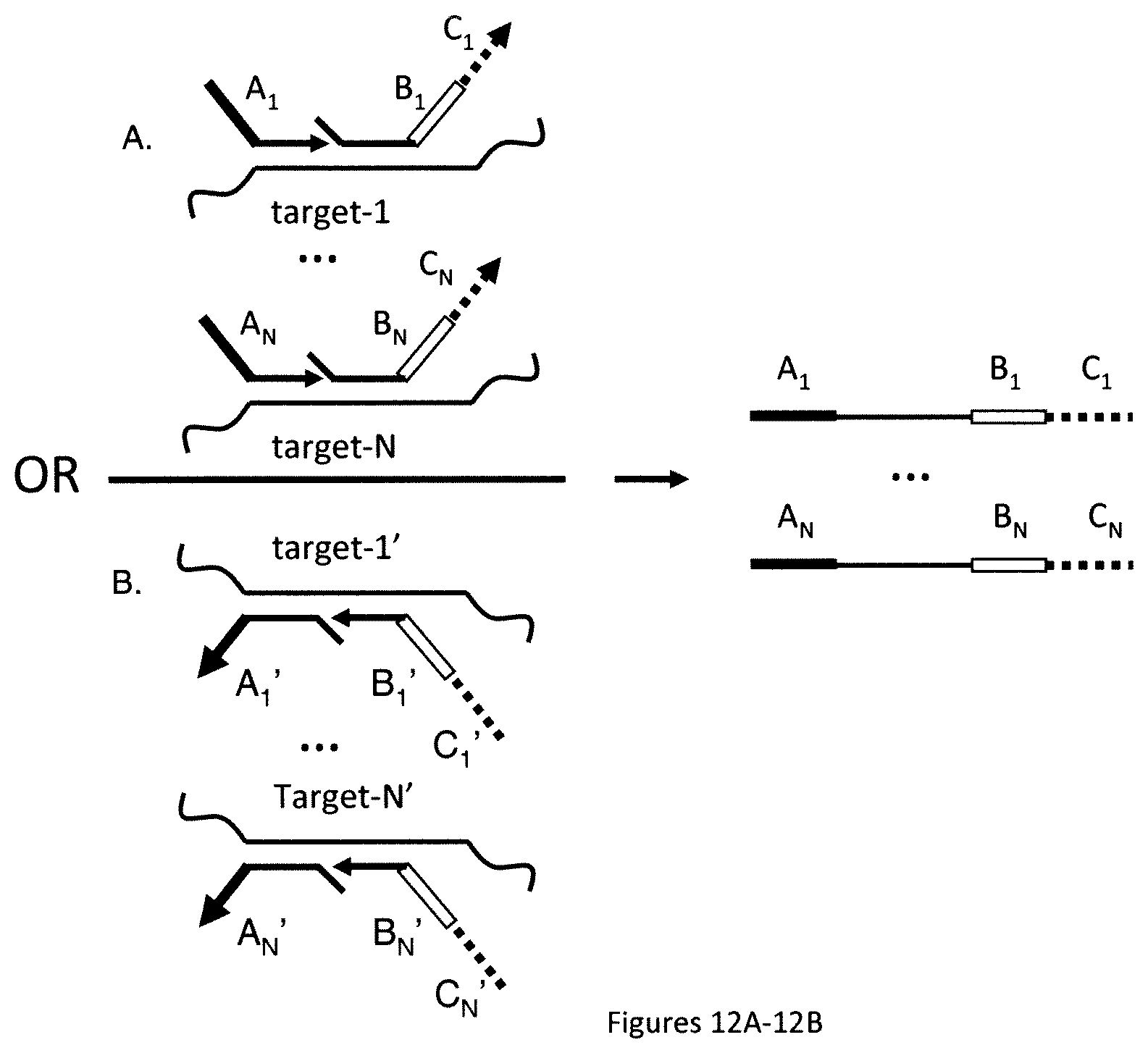 Patent US12174176 Figure 13 – Method for relative quantification of nucleic acid sequence, expression, or copy changes, using combined nuclease, ligation, and polymerase reactions