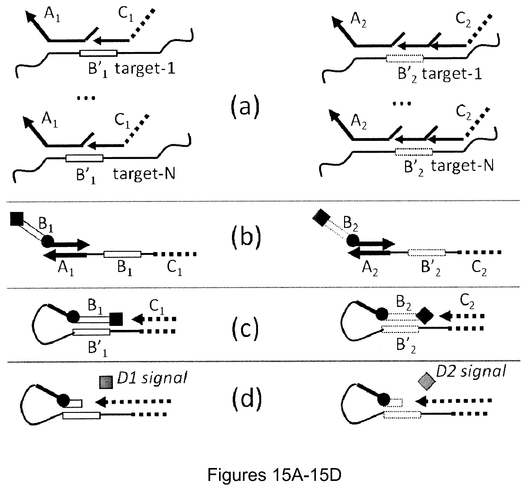 Patent US12174176 Figure 16 – Method for relative quantification of nucleic acid sequence, expression, or copy changes, using combined nuclease, ligation, and polymerase reactions