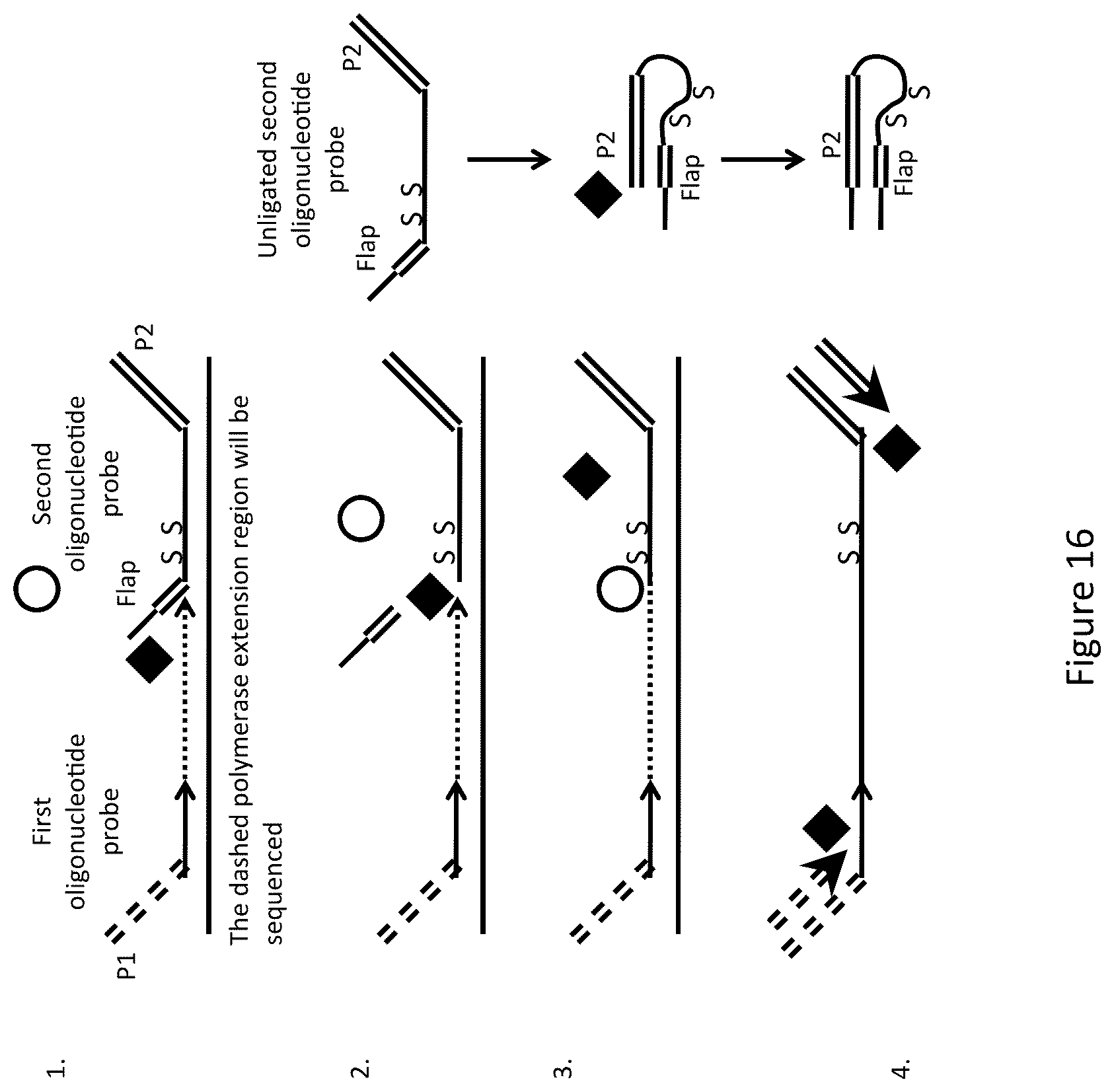 Patent US12174176 Figure 17 – Method for relative quantification of nucleic acid sequence, expression, or copy changes, using combined nuclease, ligation, and polymerase reactions