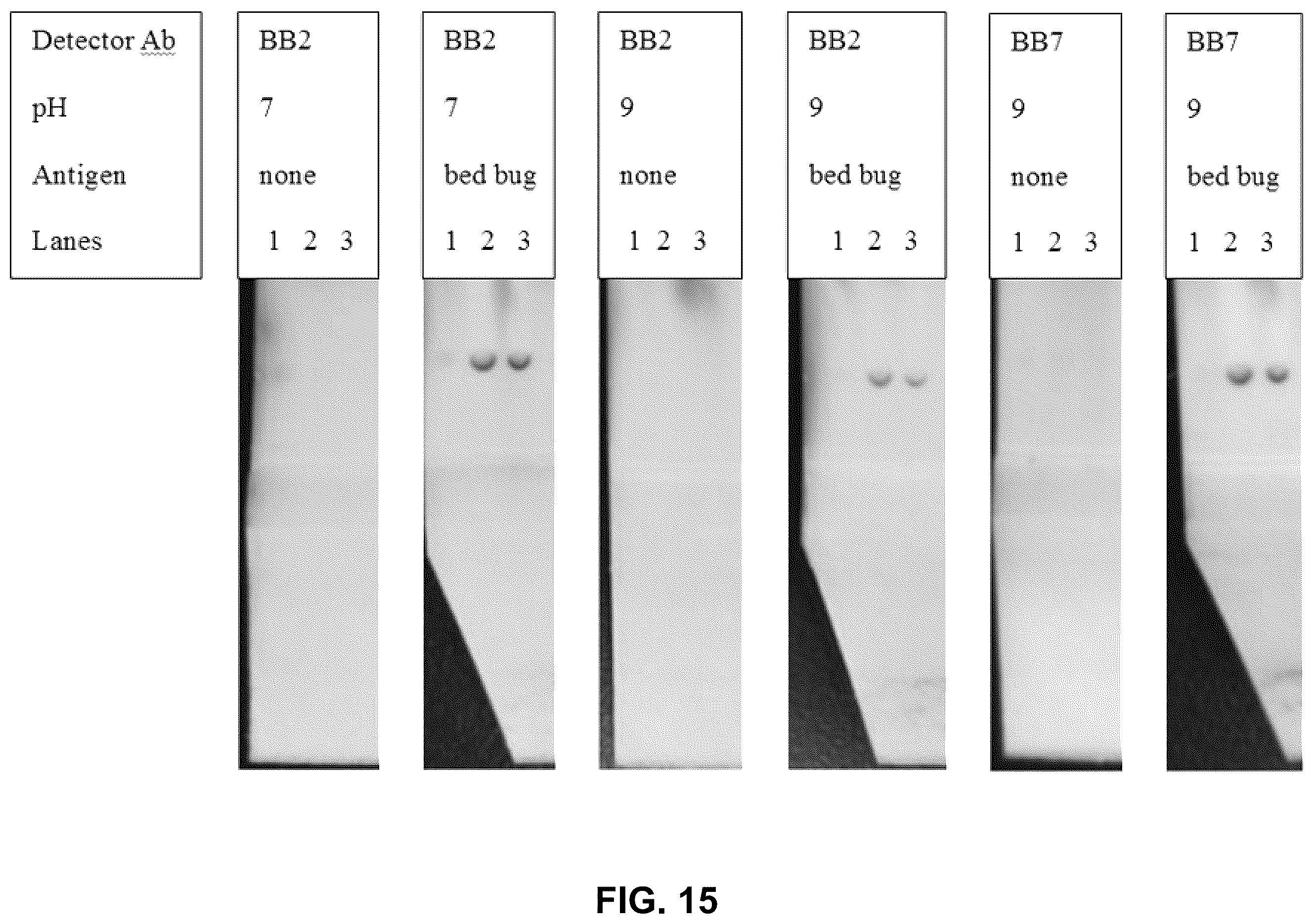 Patent US12174177 Figure 11 – Bed bugs detection device