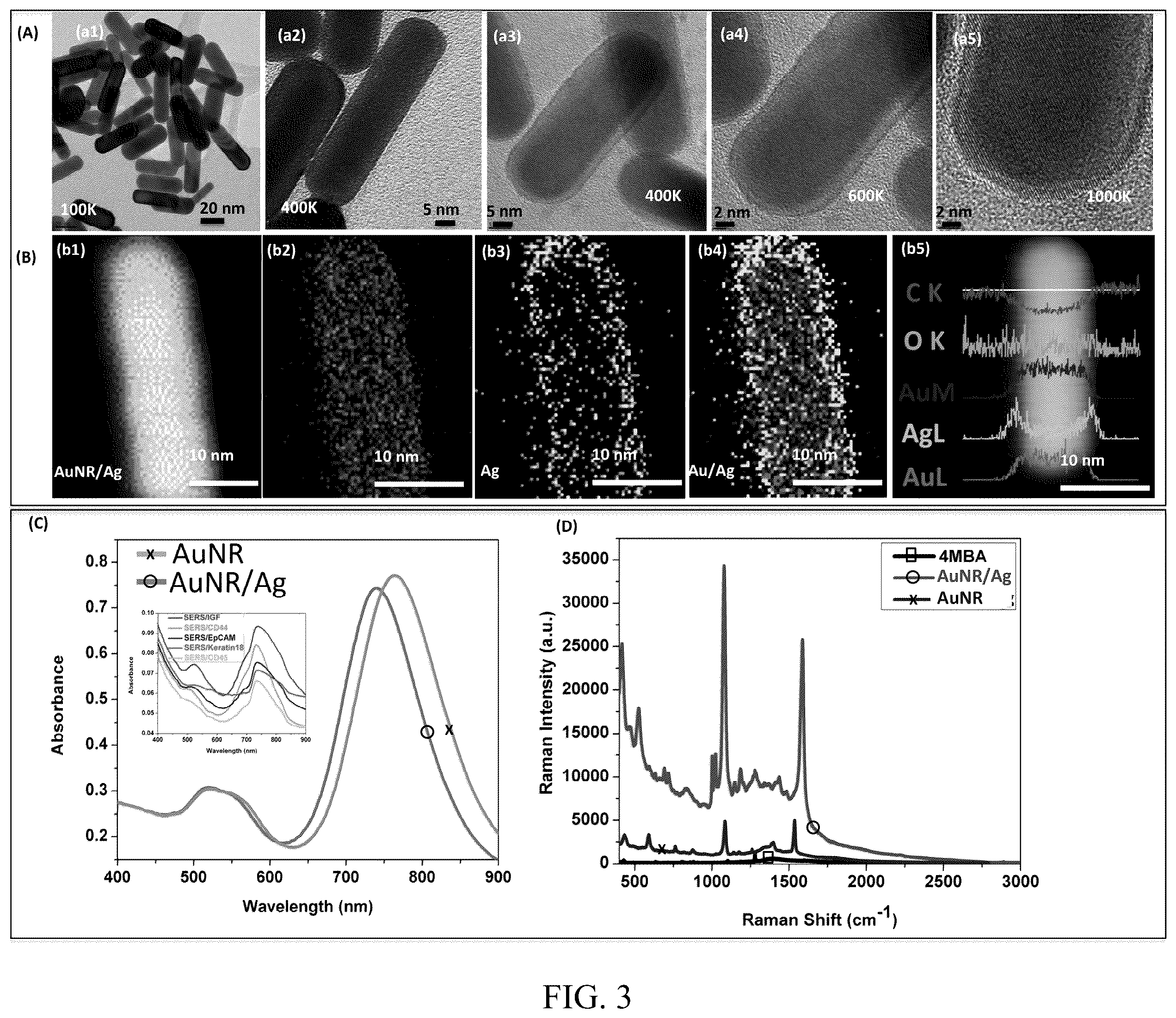 Patent US12174181 Figure 4 – Nanocomposites and methods of making same