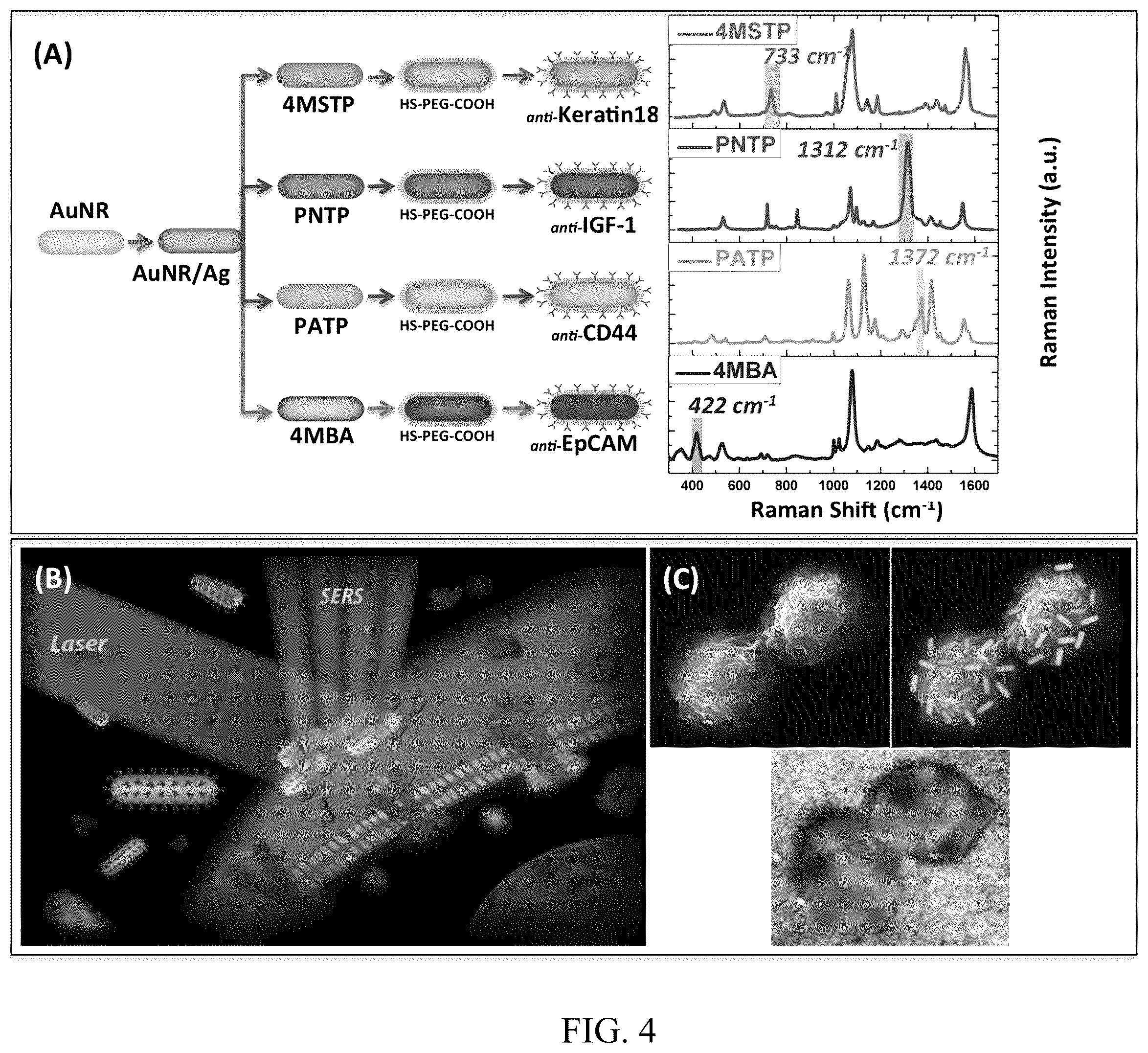 Patent US12174181 Figure 5 – Nanocomposites and methods of making same