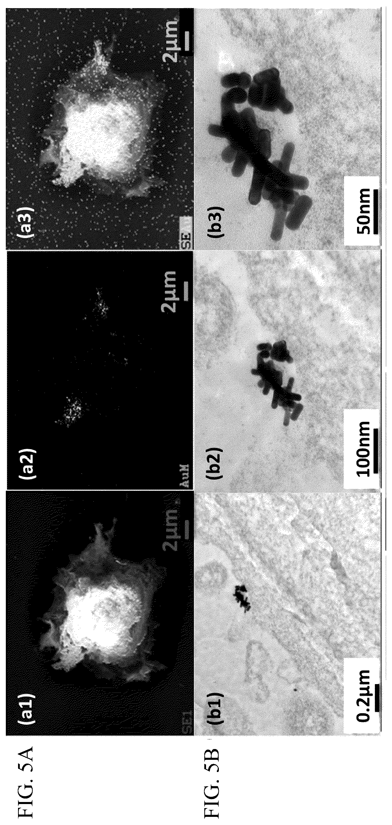 Patent US12174181 Figure 6 – Nanocomposites and methods of making same
