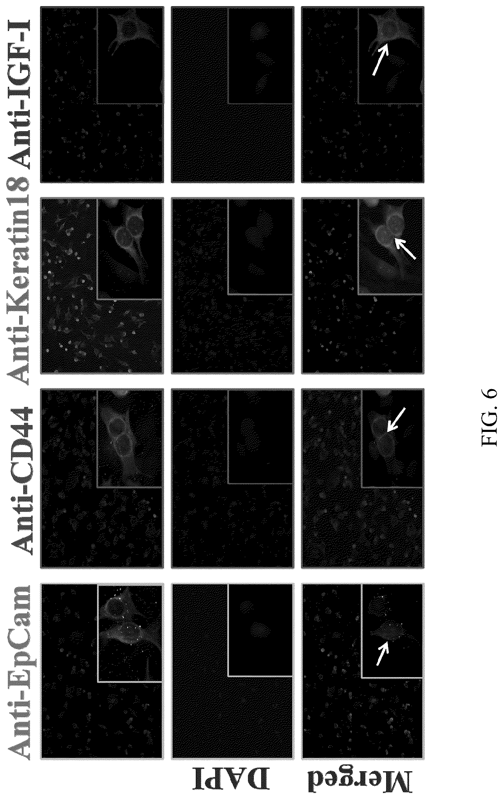 Patent US12174181 Figure 7 – Nanocomposites and methods of making same