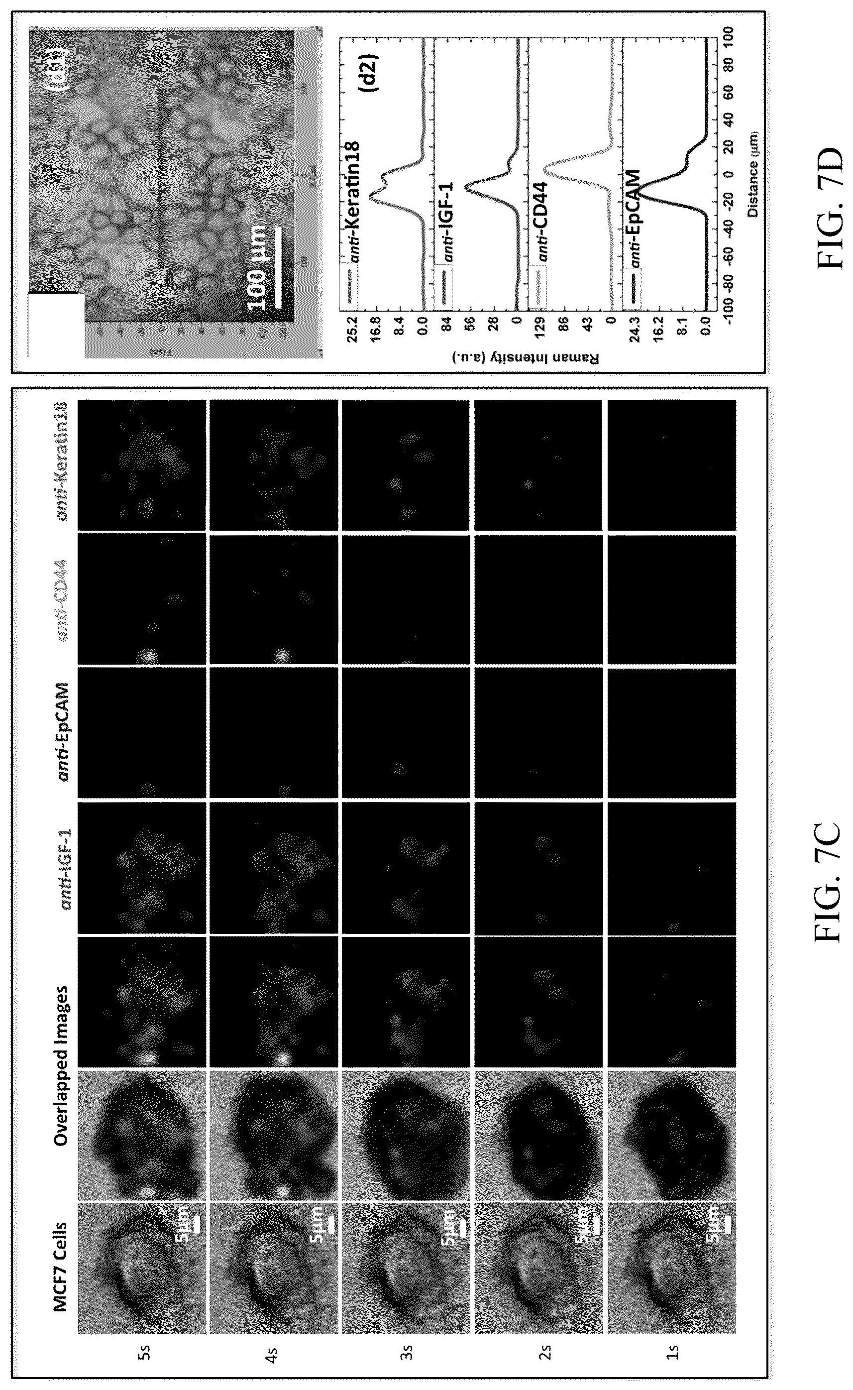 Patent US12174181 Figure 9 – Nanocomposites and methods of making same