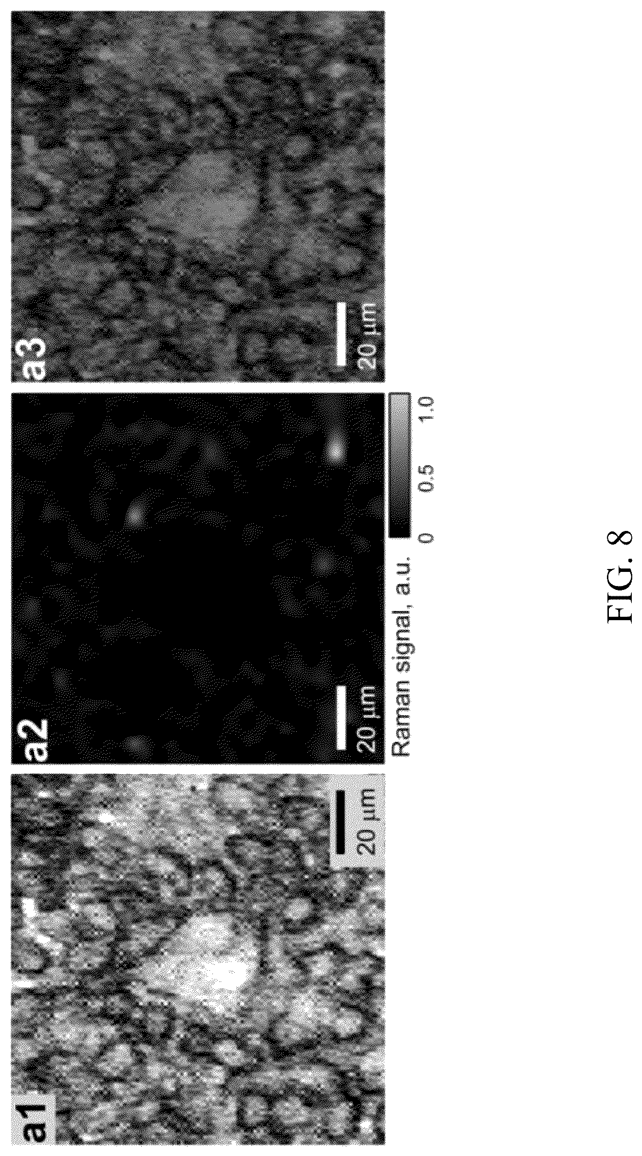 Patent US12174181 Figure 10 – Nanocomposites and methods of making same