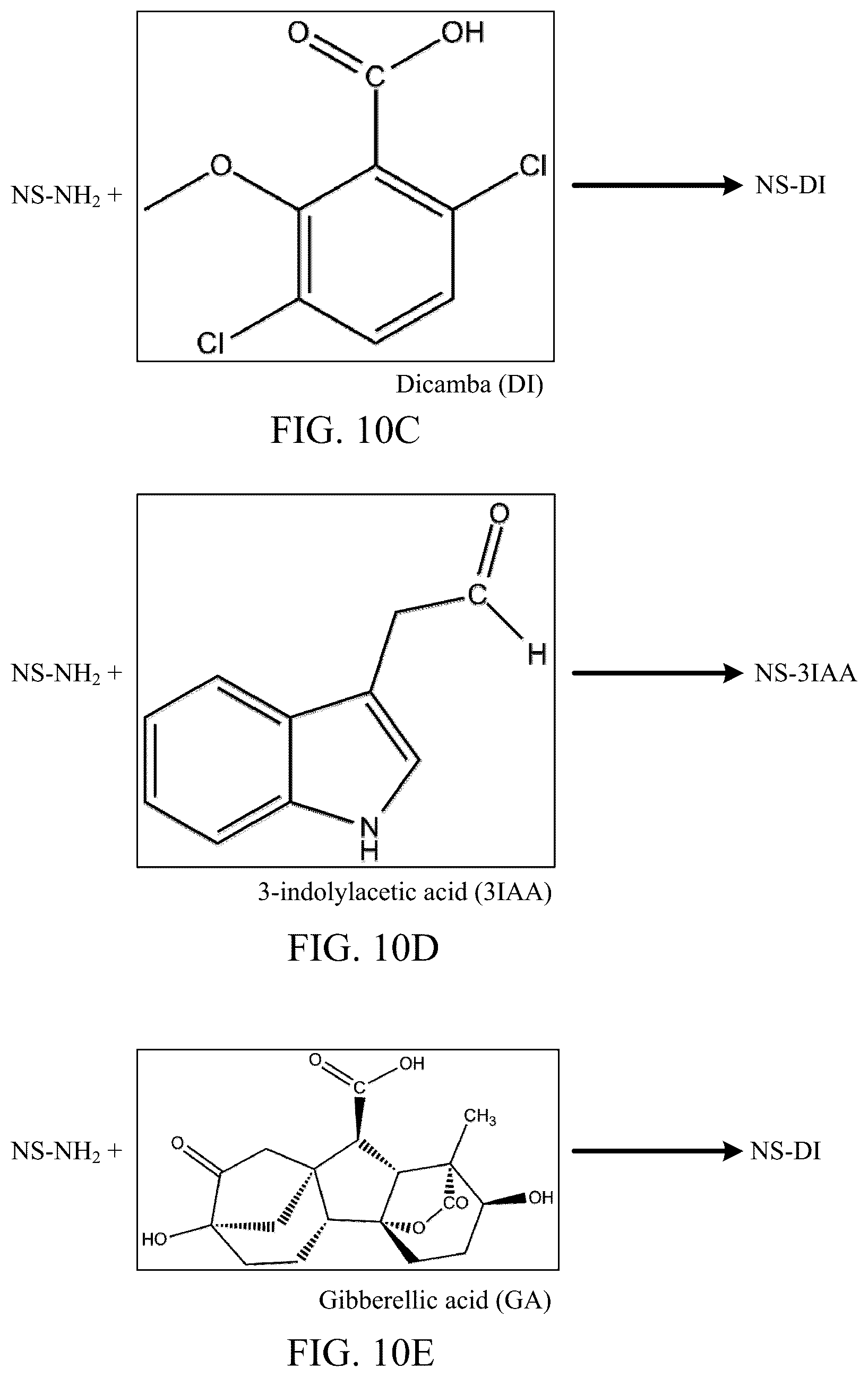 Patent US12174181 Figure 13 – Nanocomposites and methods of making same