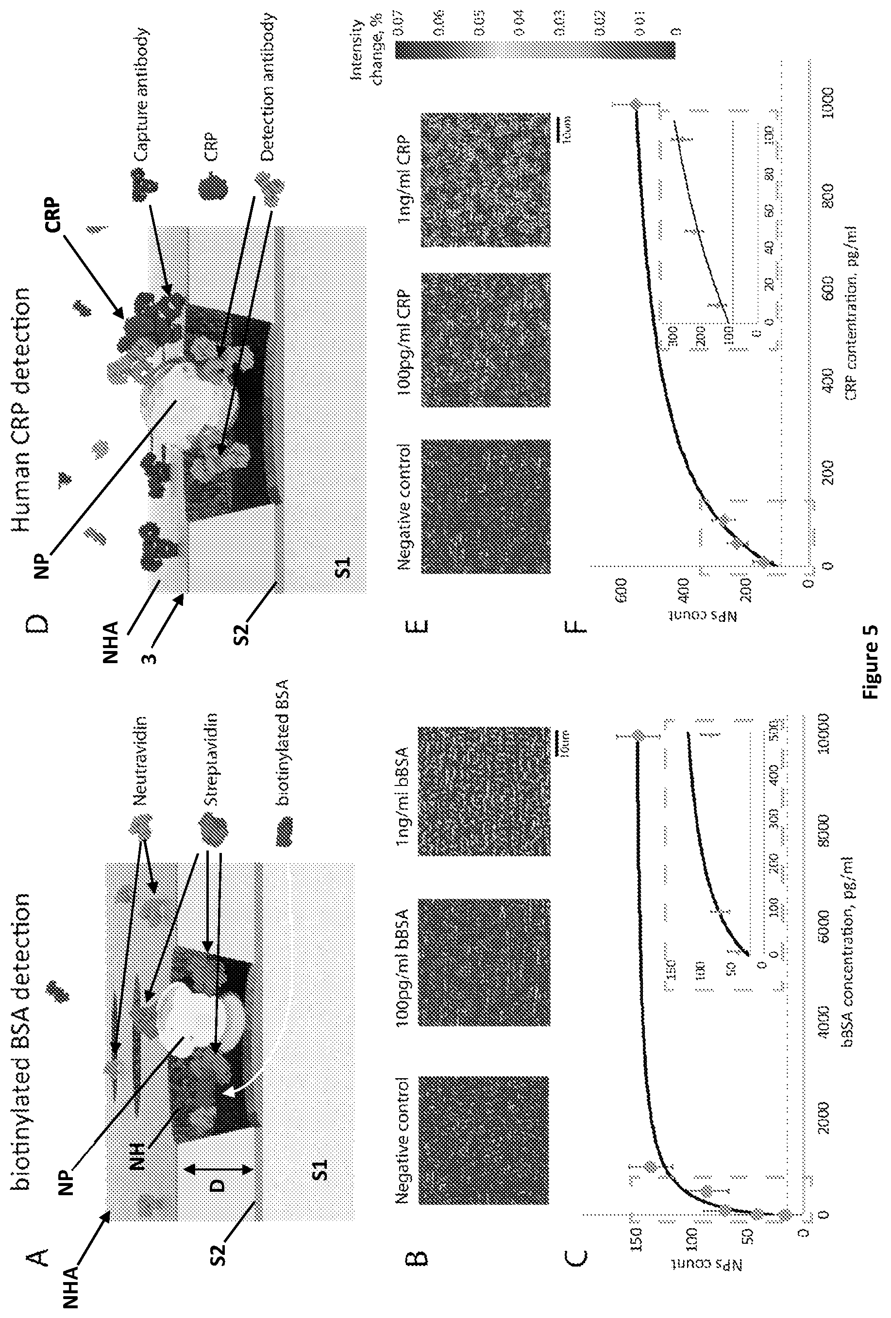 Patent US12174182 Figure 5 – Plasmonic biosensor