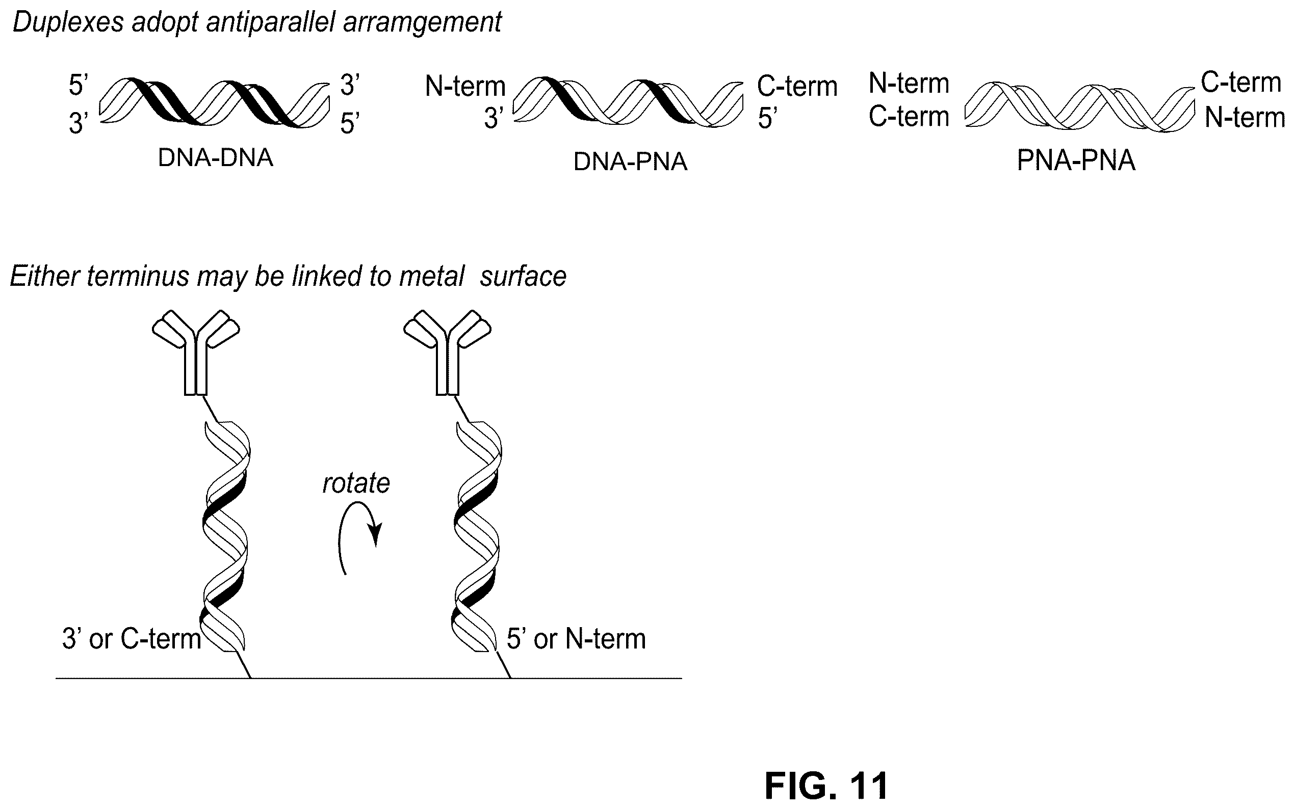 Patent US12174183 Figure 9 – Molecular wires for detecting a biological or chemical entity or event