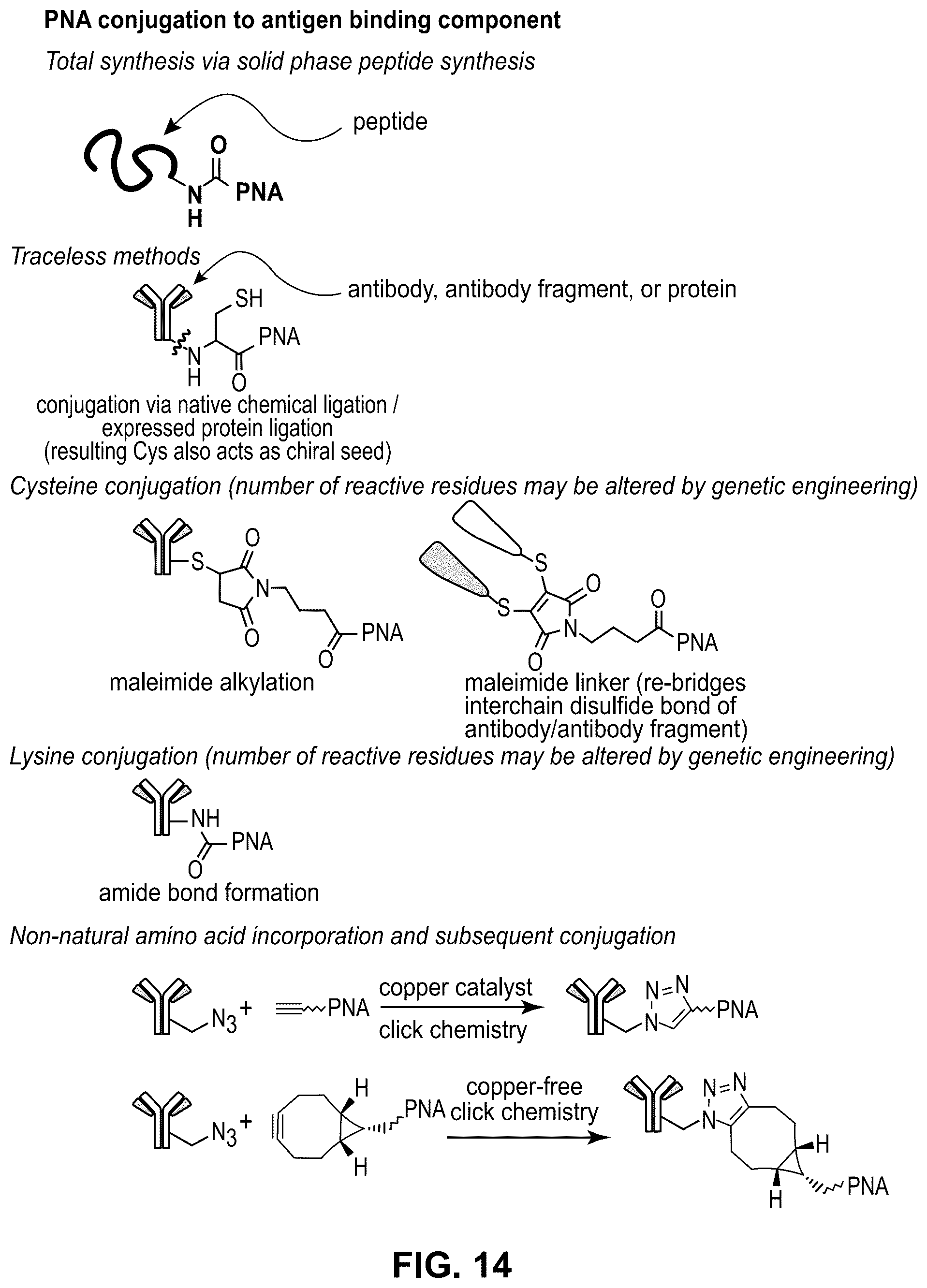 Patent US12174183 Figure 12 – Molecular wires for detecting a biological or chemical entity or event