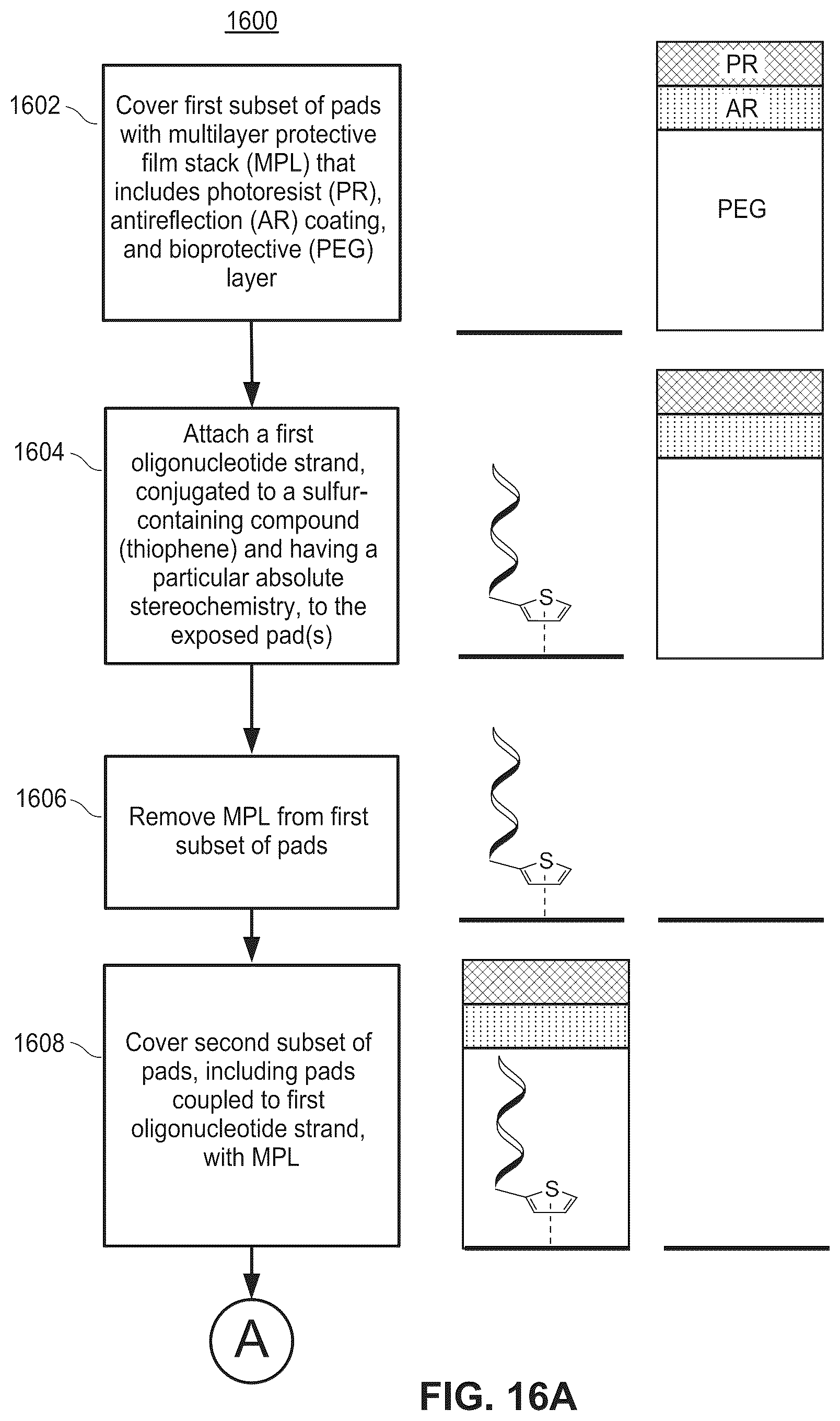 Patent US12174183 Figure 14 – Molecular wires for detecting a biological or chemical entity or event