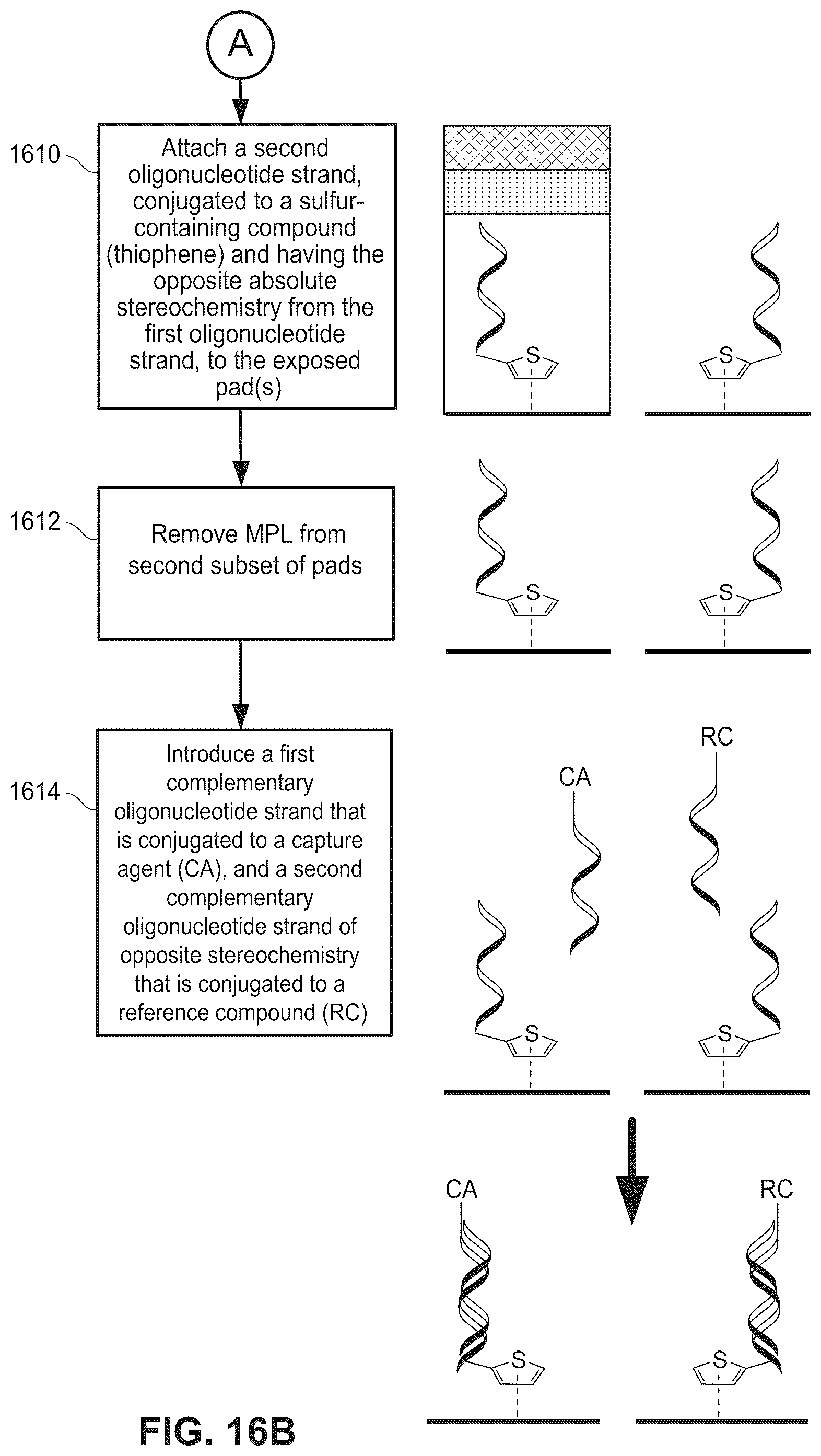 Patent US12174183 Figure 15 – Molecular wires for detecting a biological or chemical entity or event