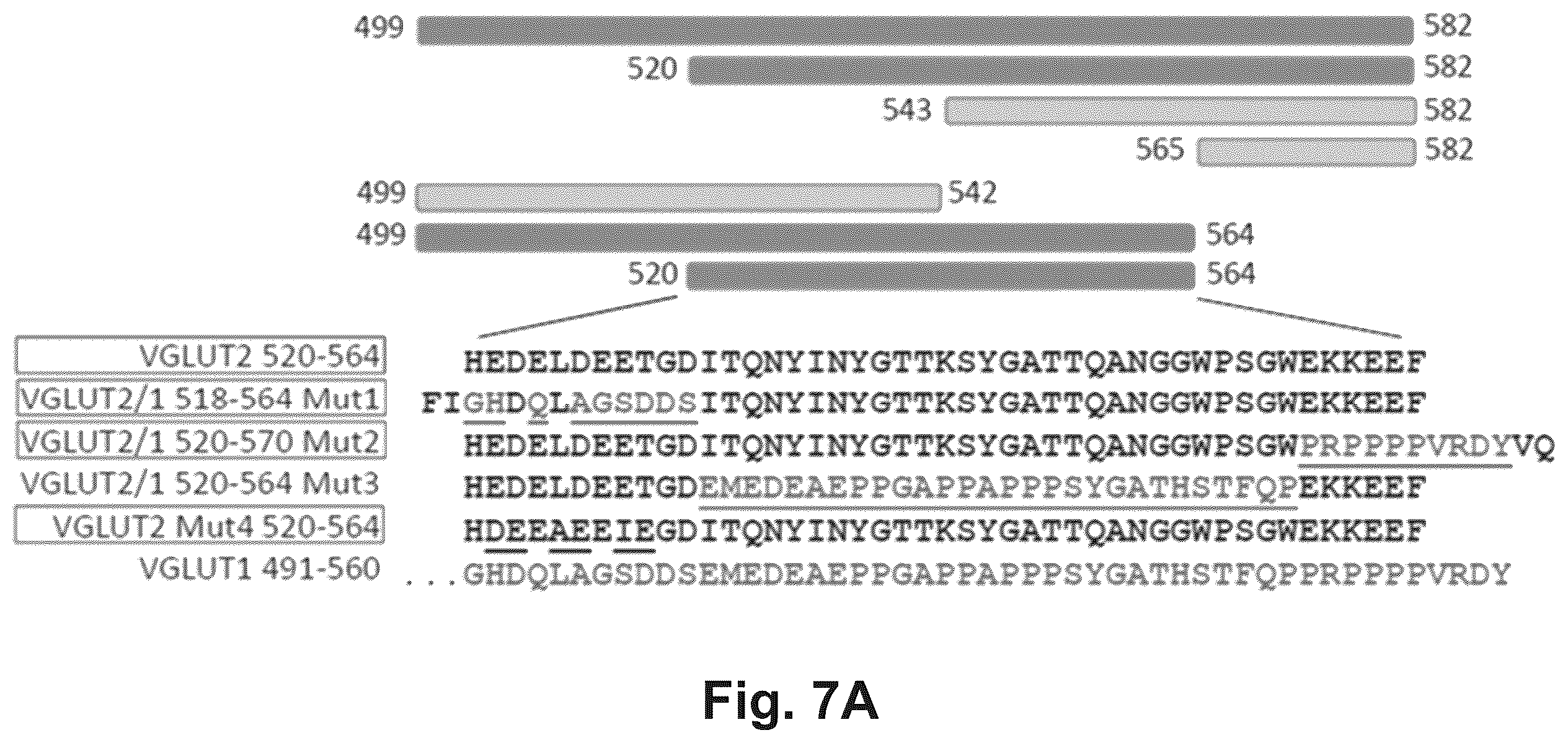 Patent US12174186 Figure 8 – Method and reagents for the detection of an autoantibody