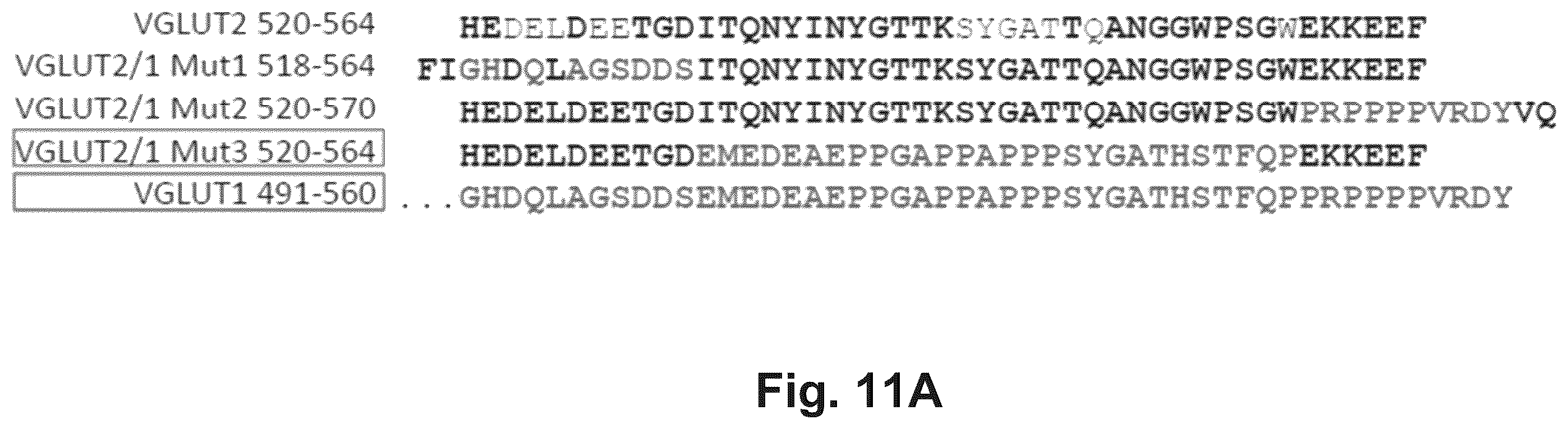 Patent US12174186 Figure 16 – Method and reagents for the detection of an autoantibody