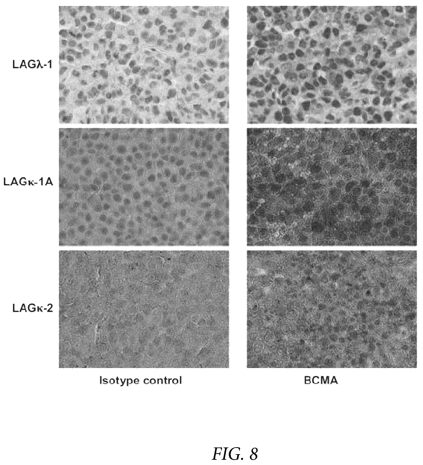 Patent US12174189 Figure 15 – Diagnostic, prognostic, and monitoring methods for chronic lymphocytic leukemia