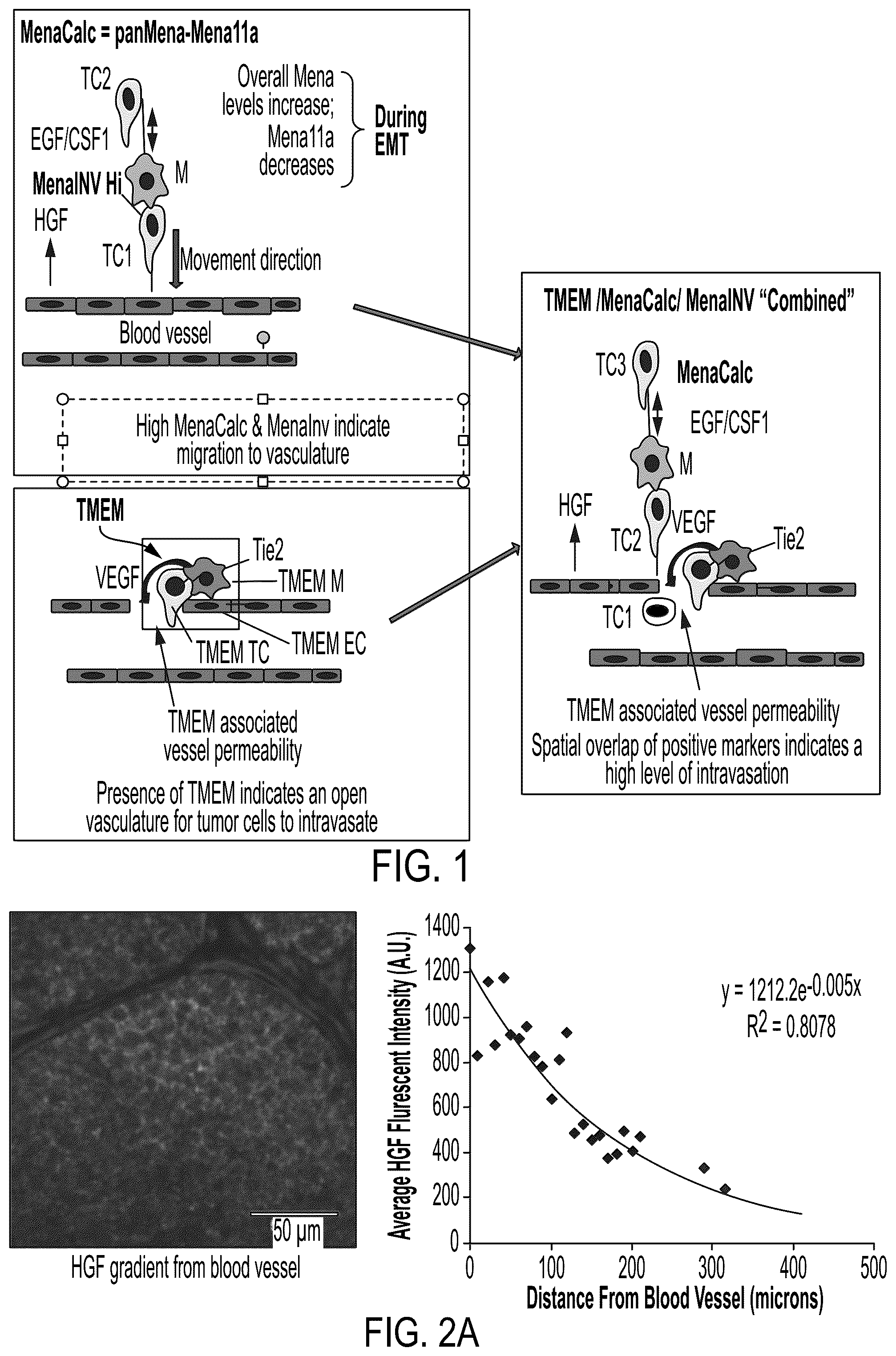 Patent US12174190 Figure 1 – Combined markers for metastatic cancer and uses thereof