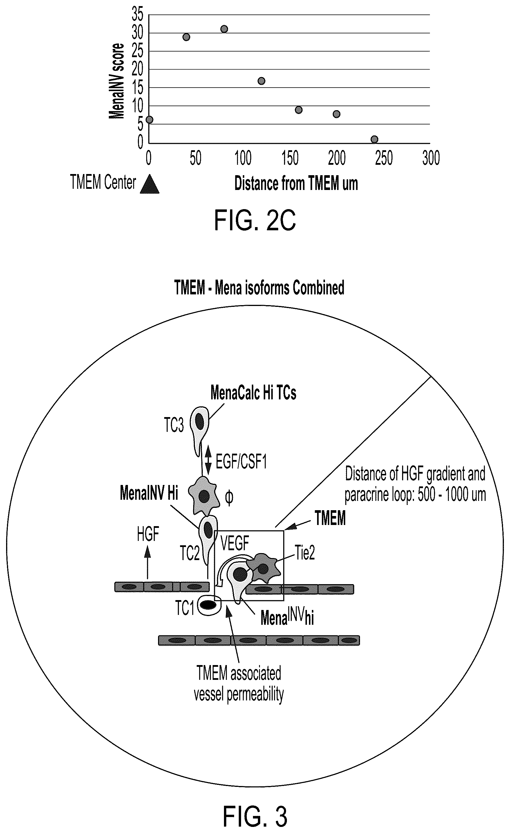 Patent US12174190 Figure 3 – Combined markers for metastatic cancer and uses thereof