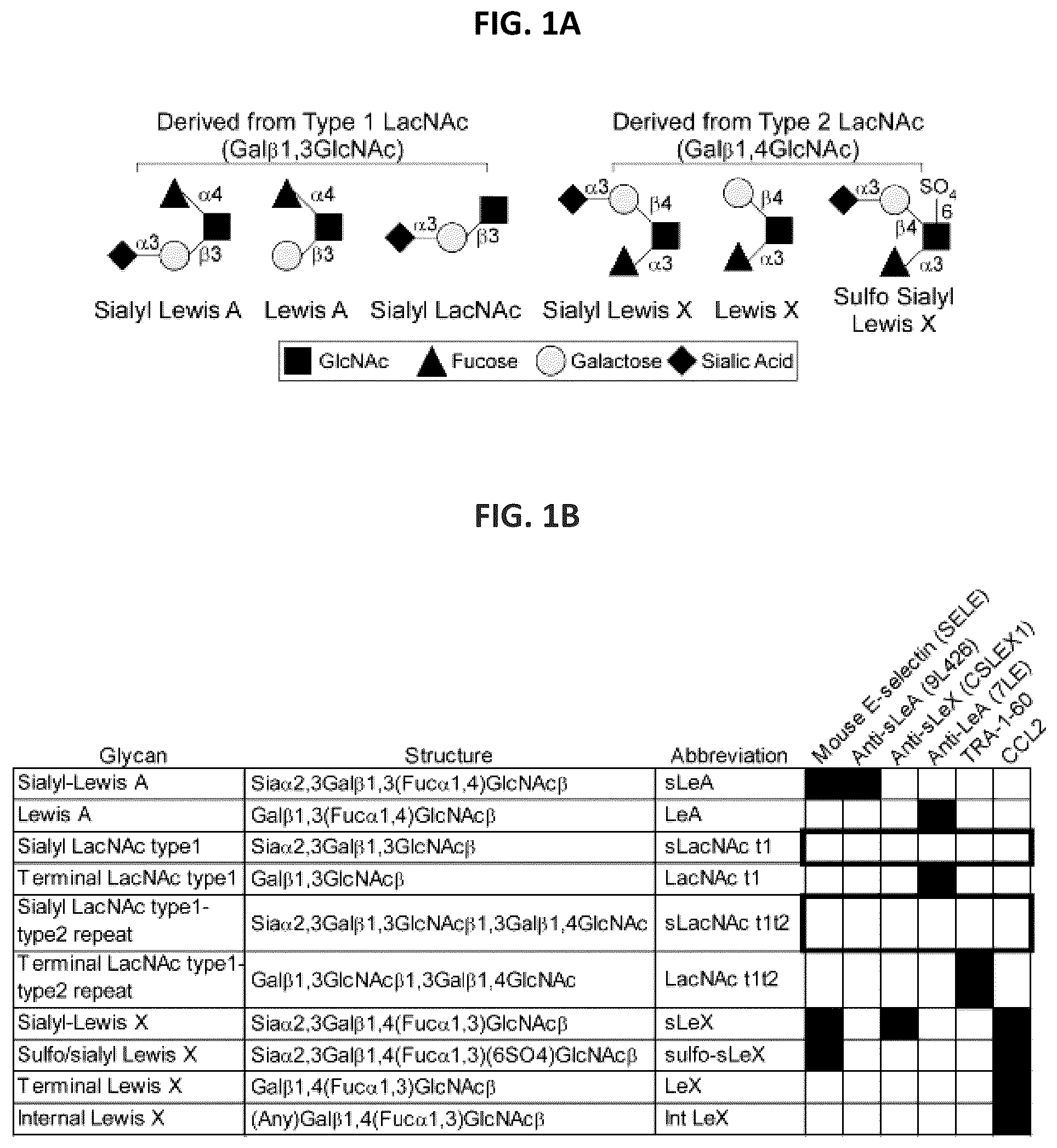 Patent US12174191 Figure 1 – Methods for detecting and for treating pancreatic cancer