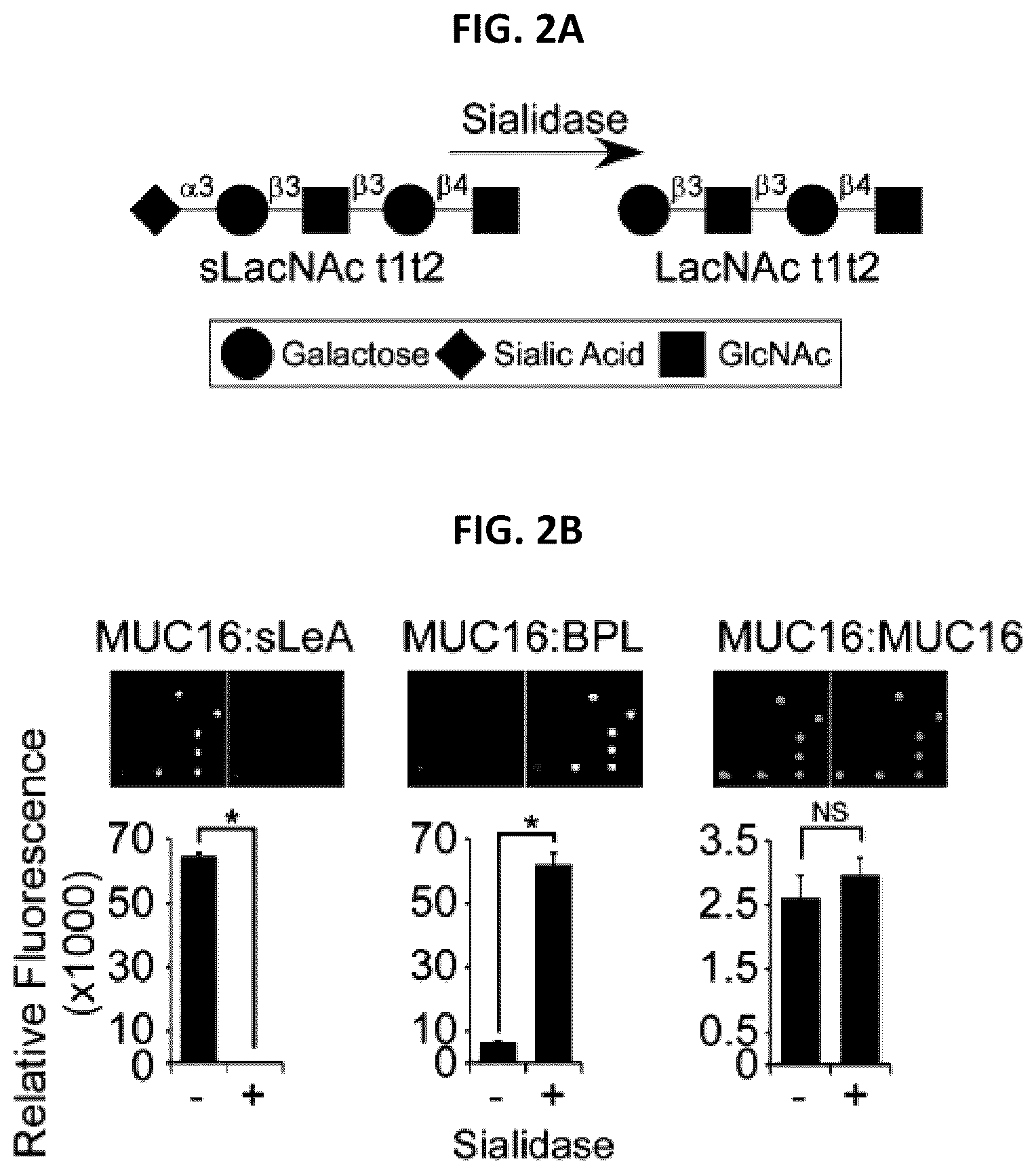 Patent US12174191 Figure 3 – Methods for detecting and for treating pancreatic cancer