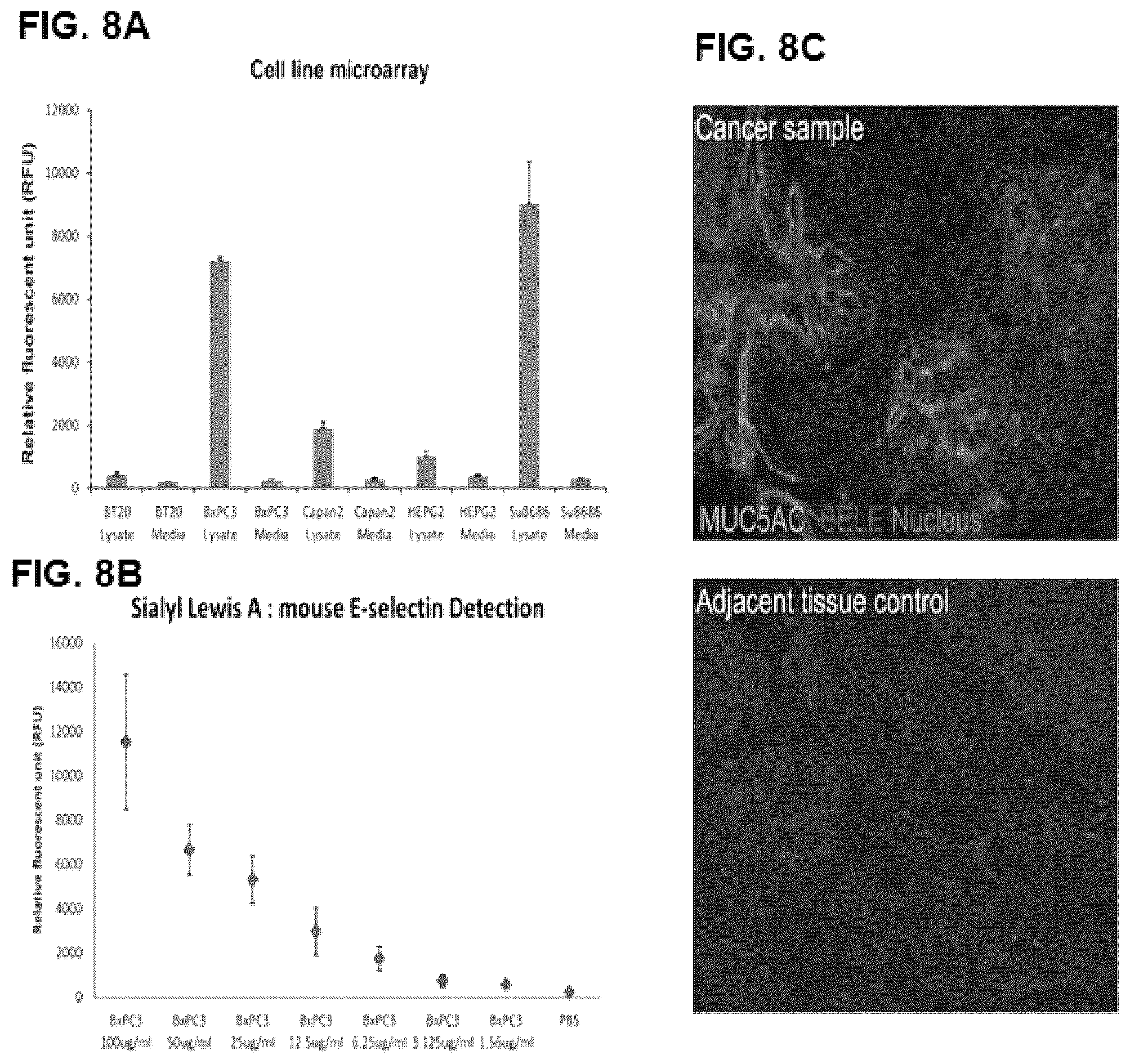 Patent US12174191 Figure 13 – Methods for detecting and for treating pancreatic cancer