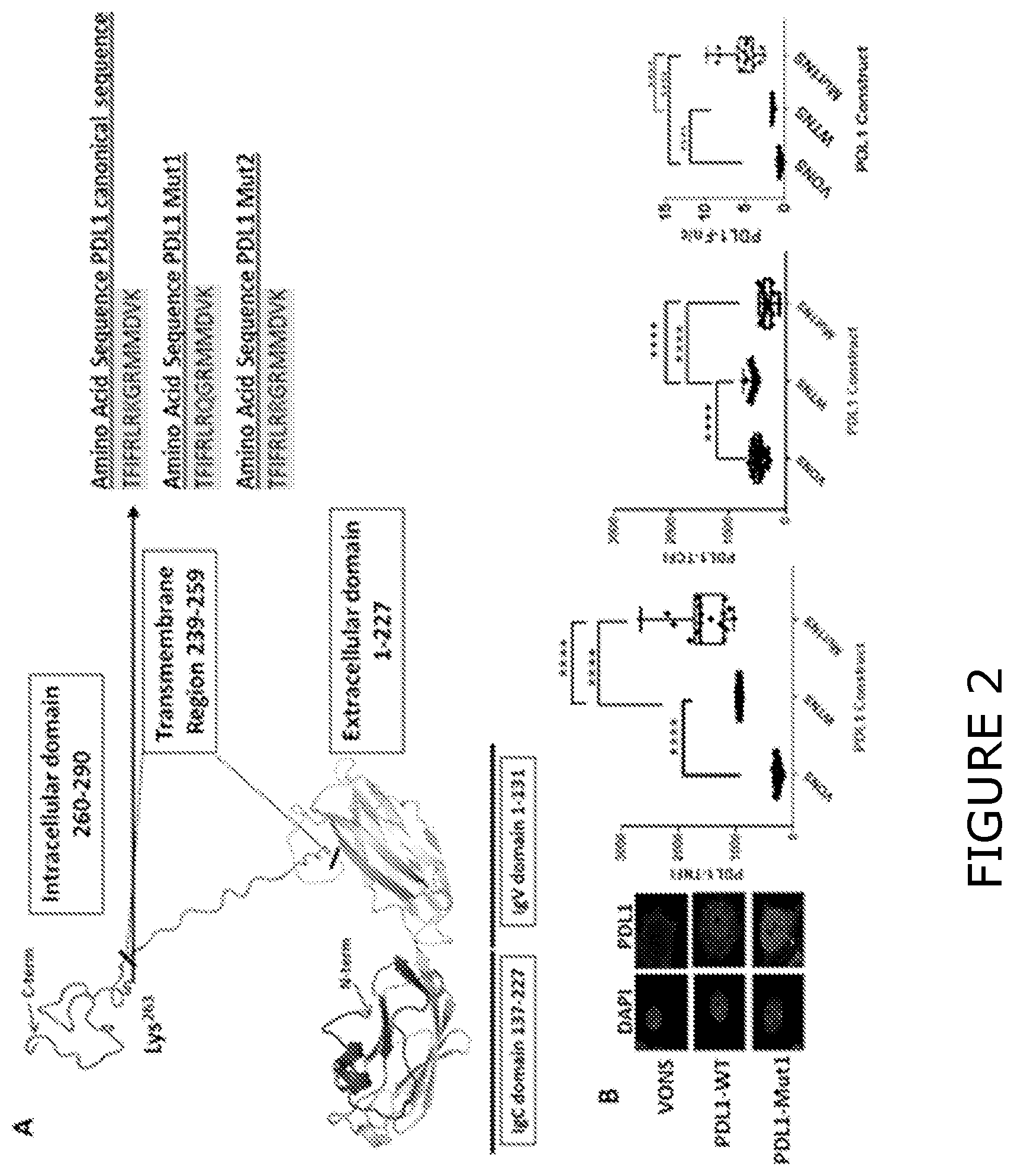 Patent US12174193 Figure 2 – Agents and methods for predicting response to therapy