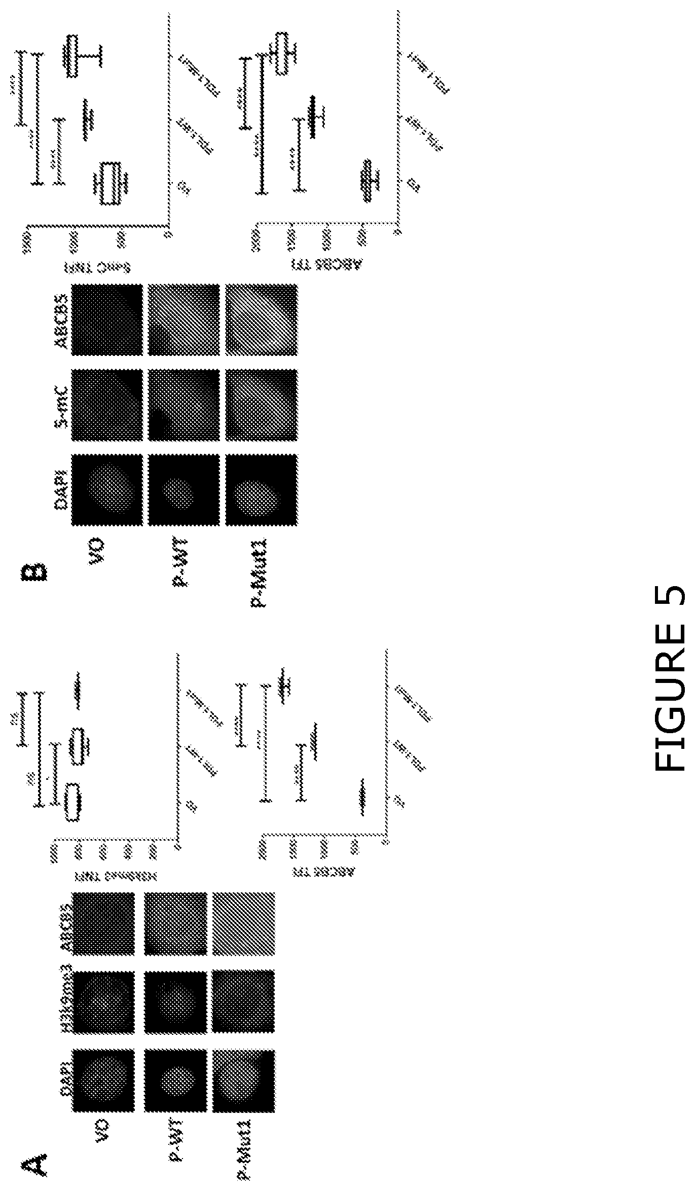 Patent US12174193 Figure 5 – Agents and methods for predicting response to therapy