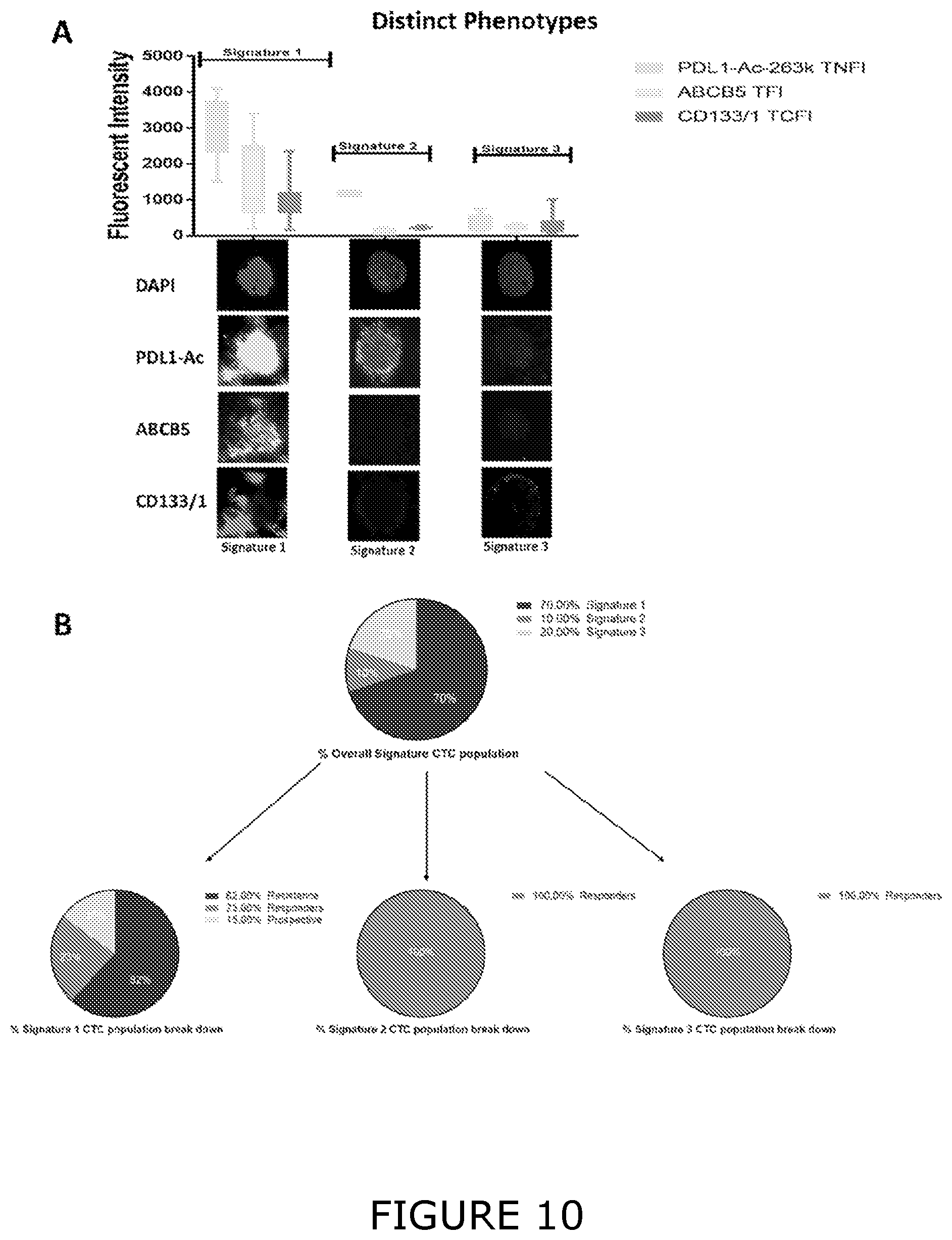 Patent US12174193 Figure 10 – Agents and methods for predicting response to therapy