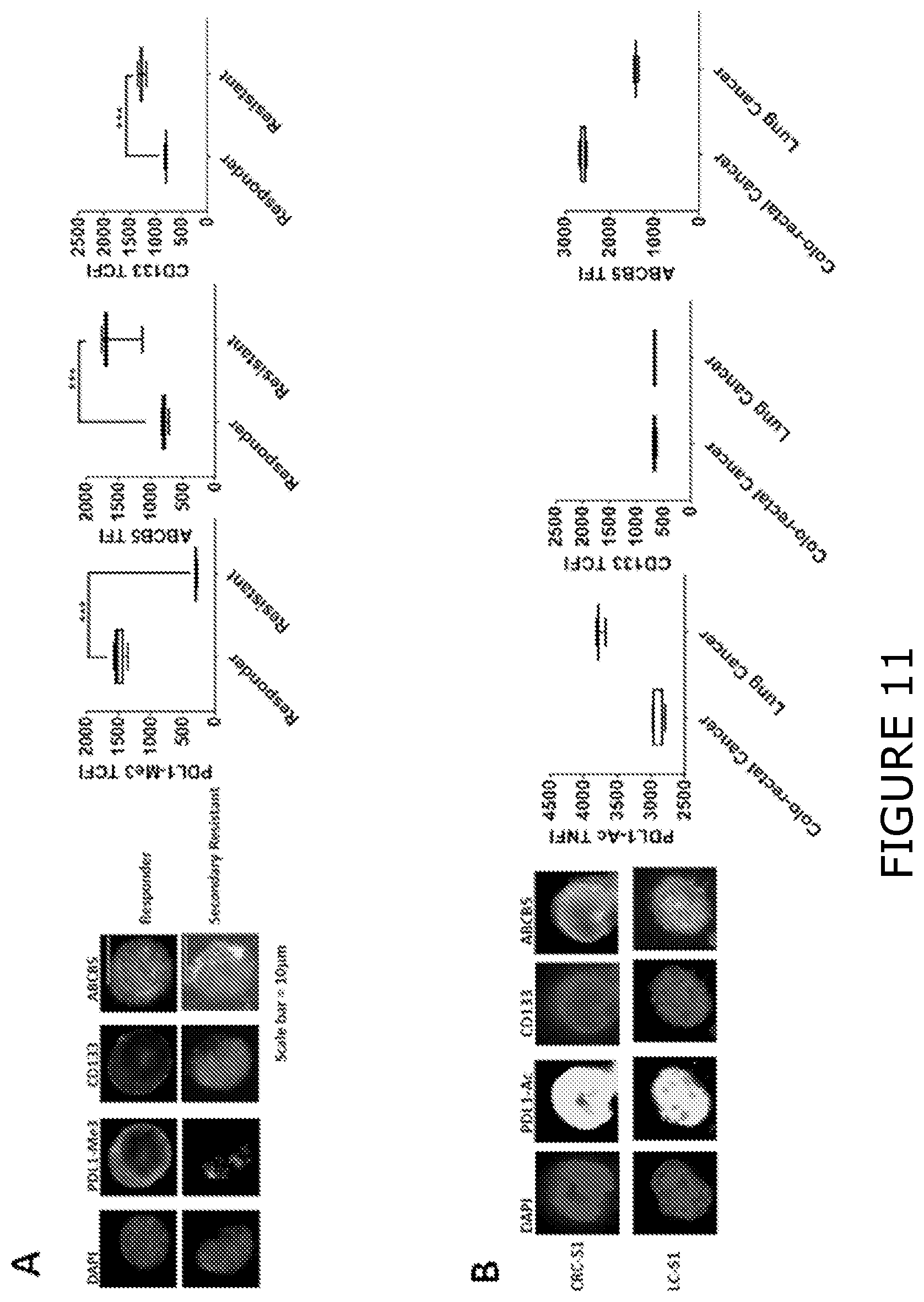 Patent US12174193 Figure 11 – Agents and methods for predicting response to therapy