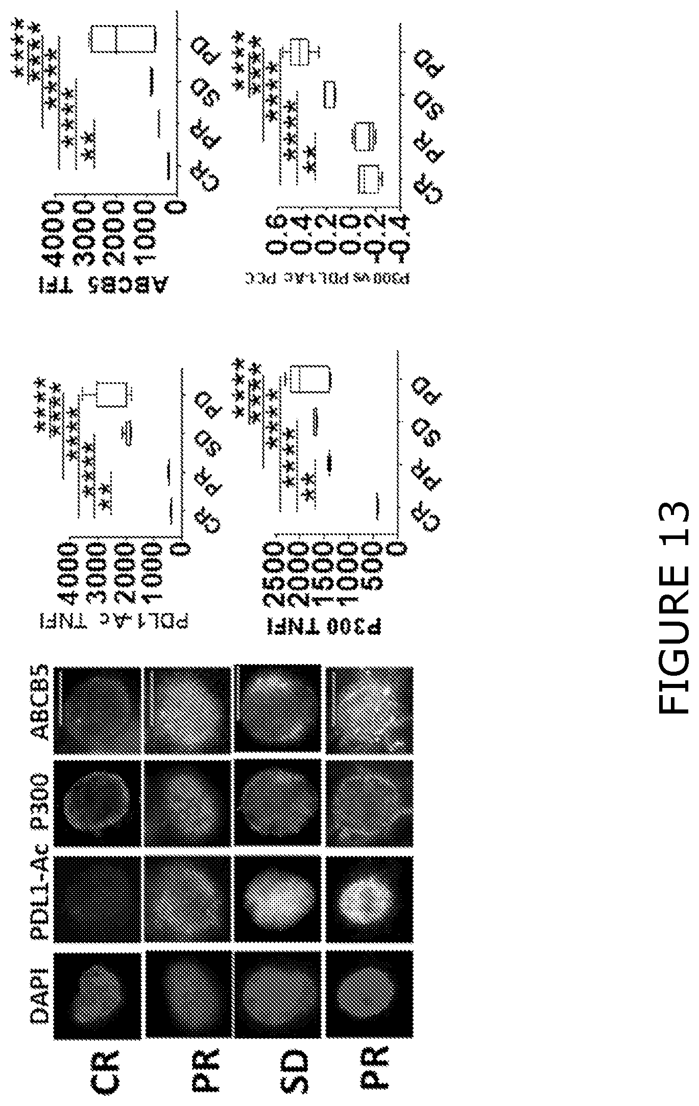 Patent US12174193 Figure 13 – Agents and methods for predicting response to therapy
