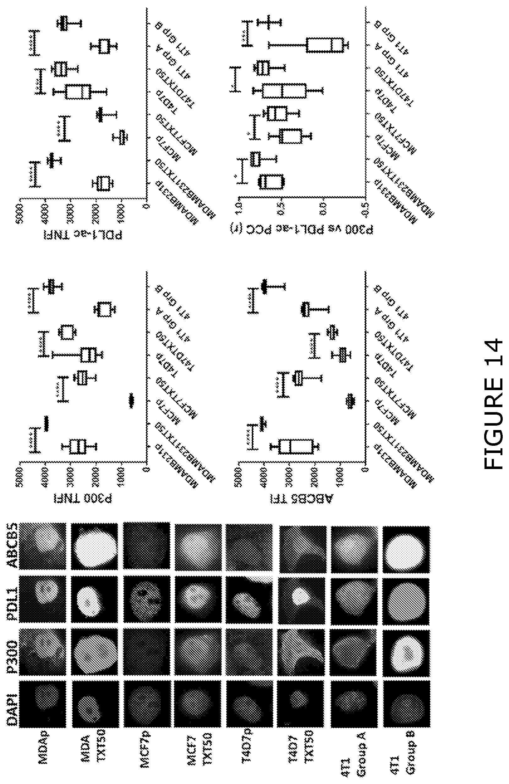 Patent US12174193 Figure 14 – Agents and methods for predicting response to therapy